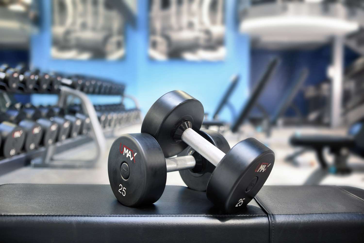 Фото The Palmer House Hilton