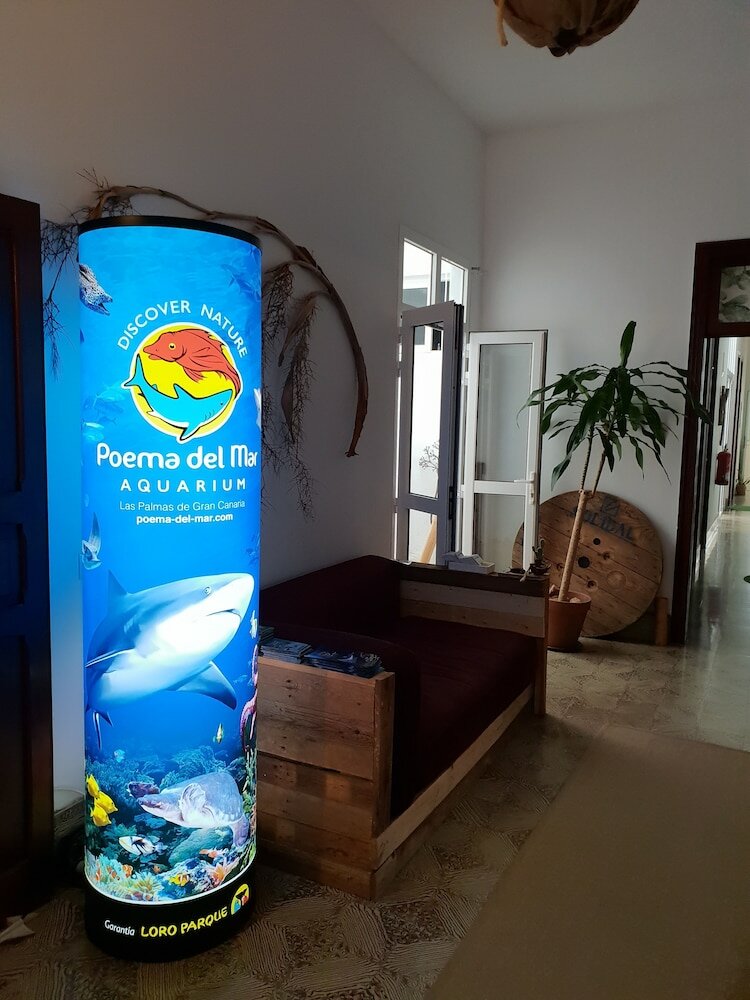 Фото Cactus Host