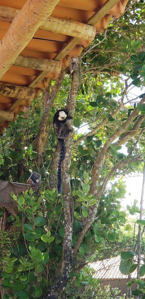 Фото Pousada Villa Zena