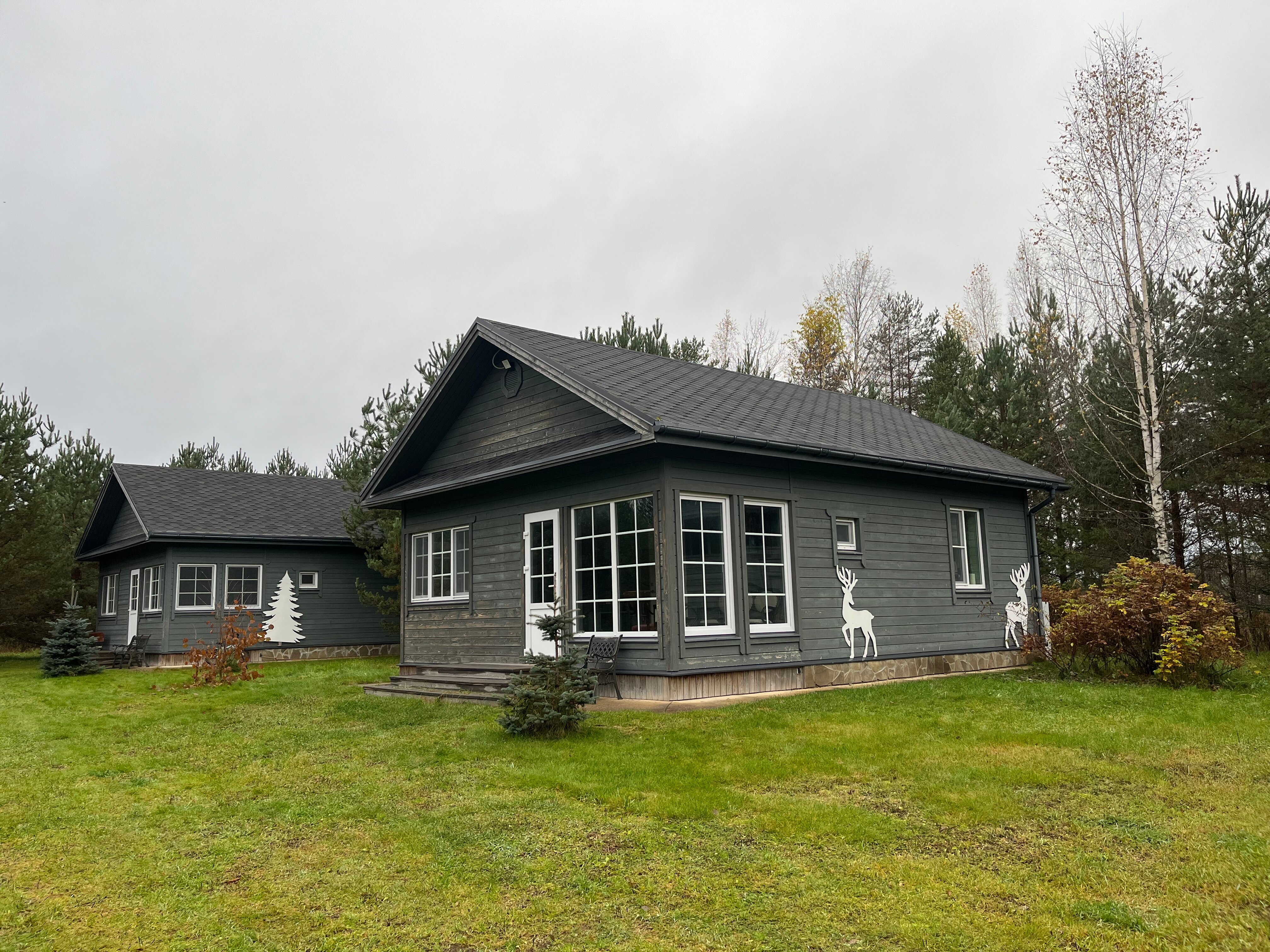 Фото Домики под соснами