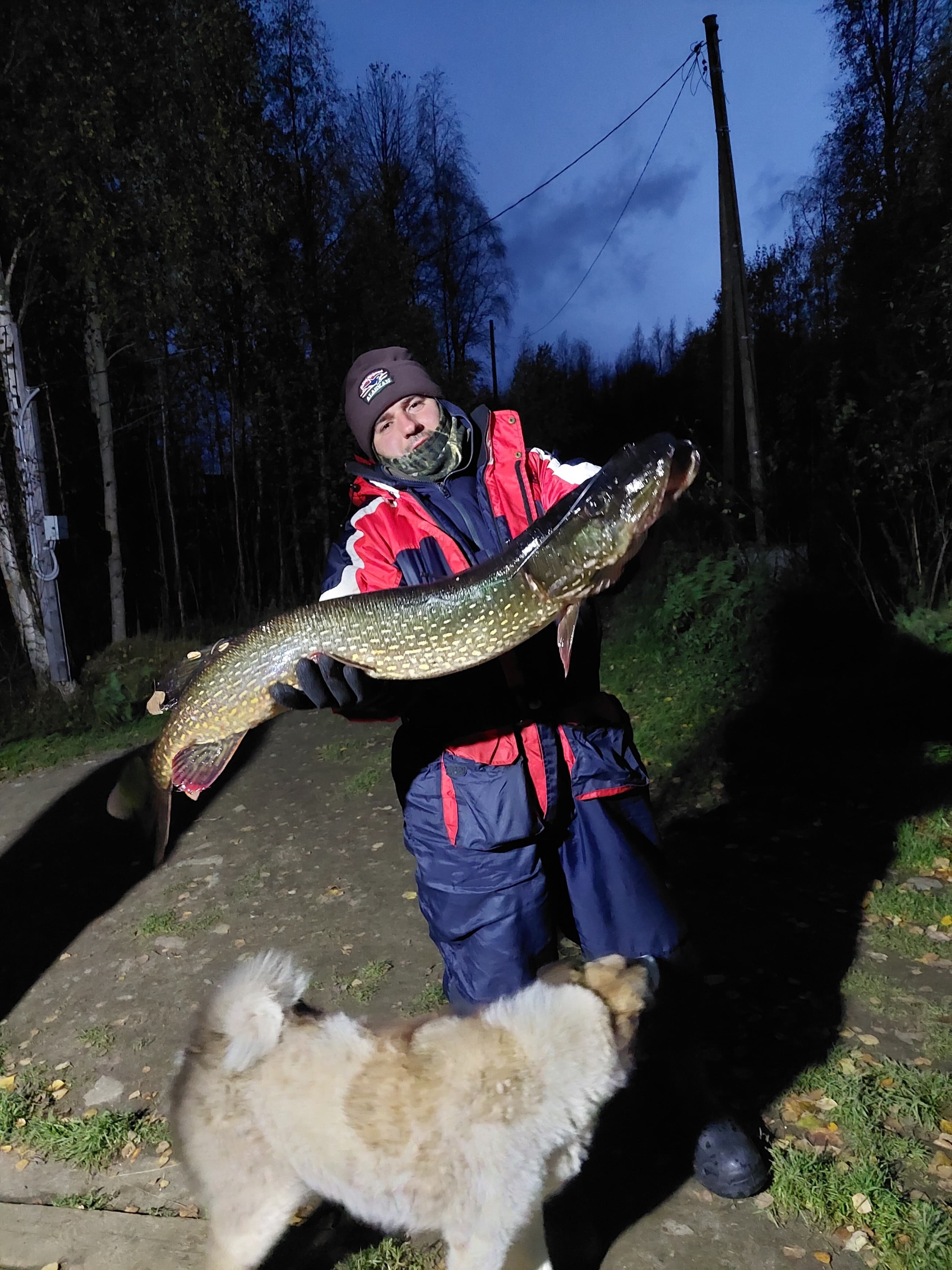 Фото Карху Сегозеро