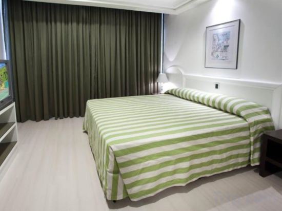 Фото Plaza Sao Rafael Hotel