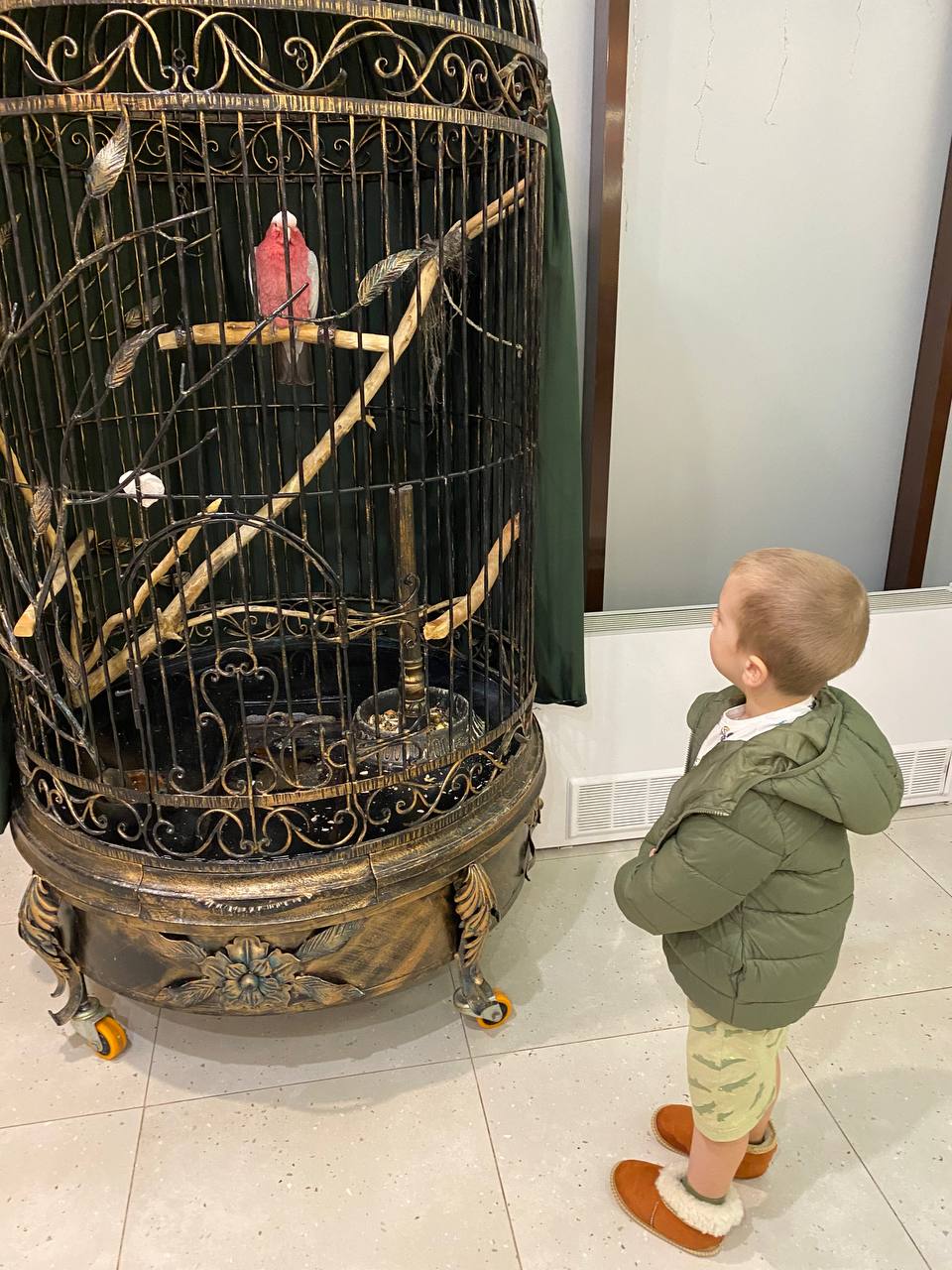 Фото ЭкоДом Адлер