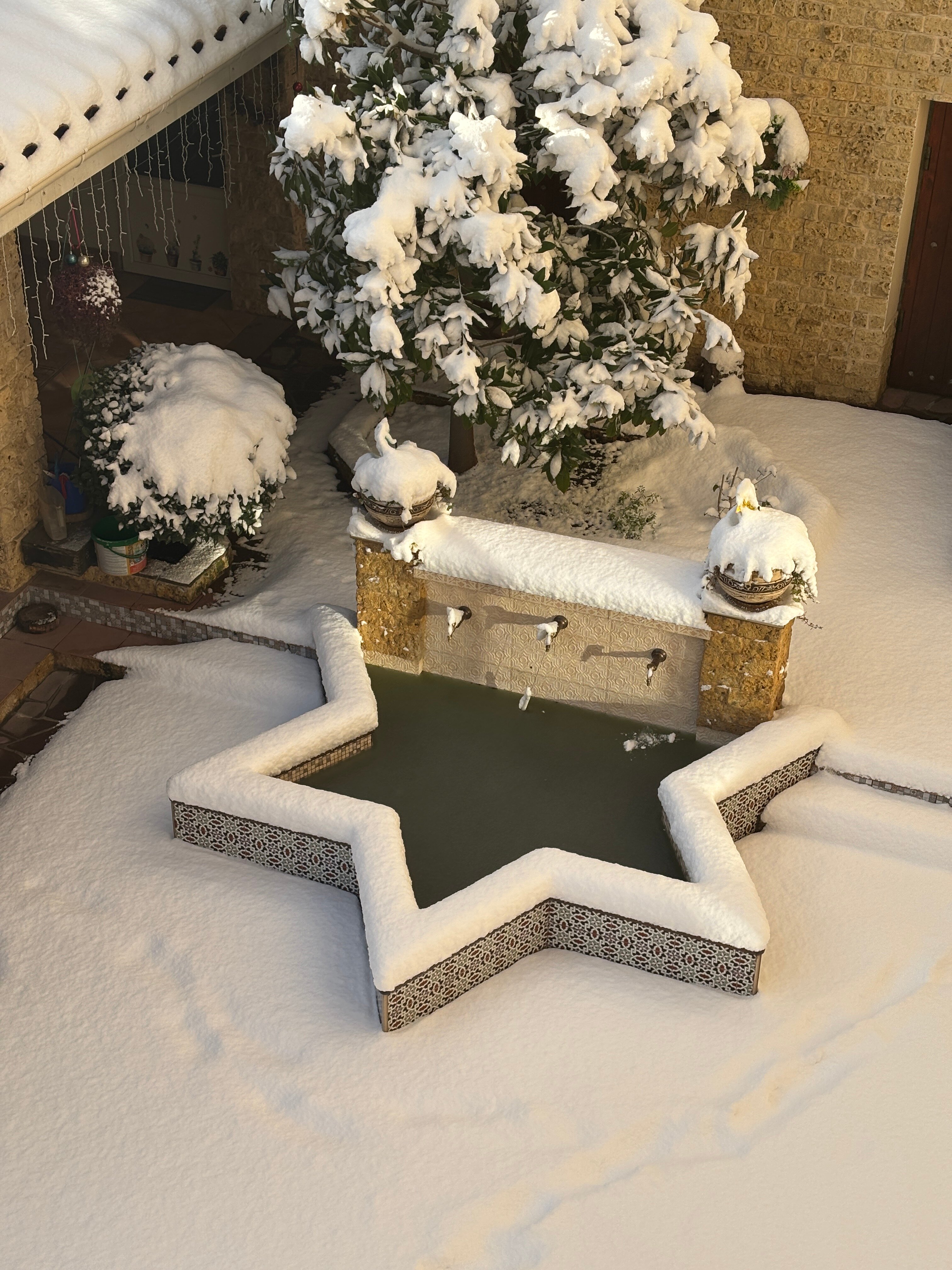 Фото Рахиль