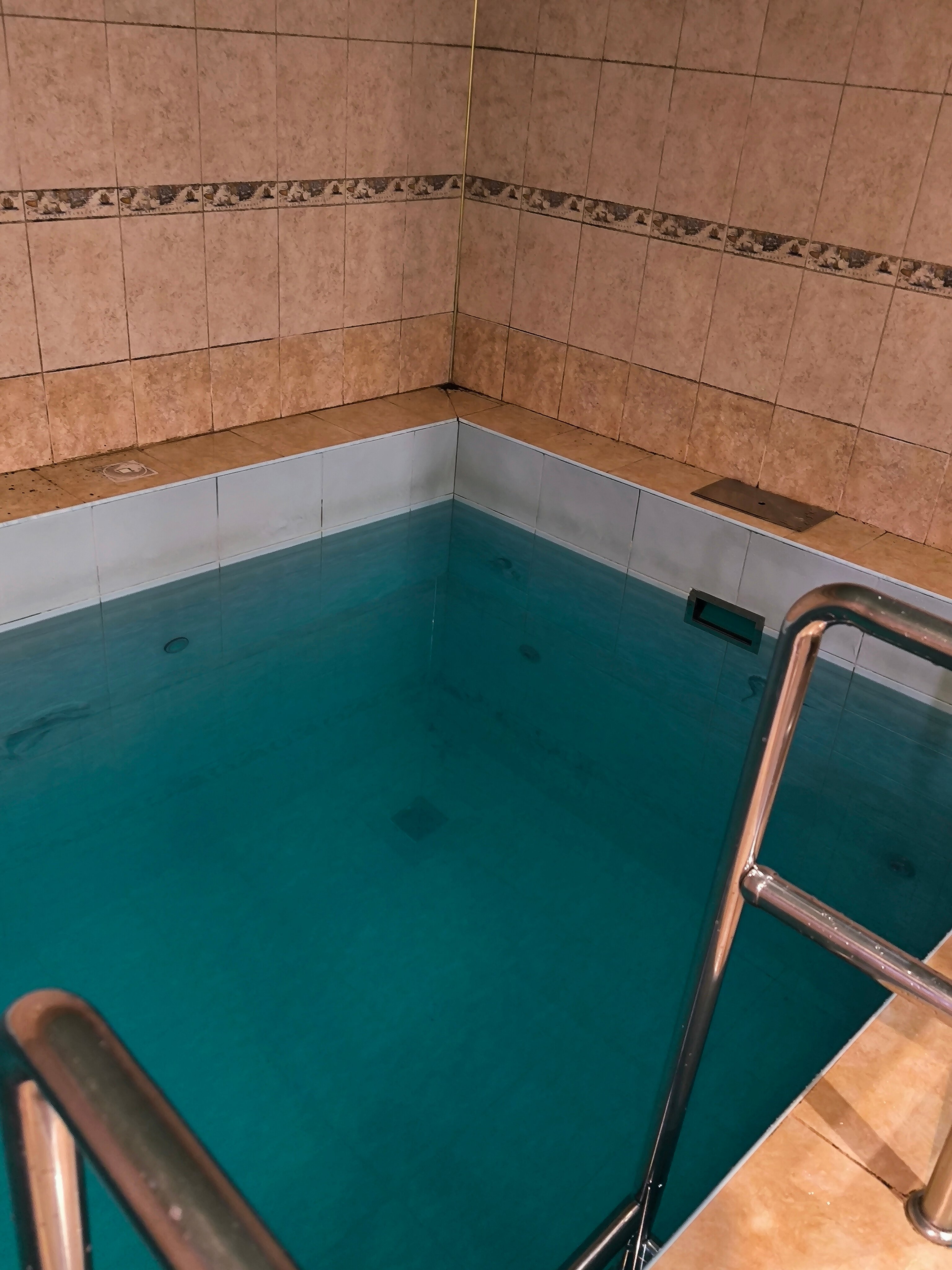 Фото Пальмы