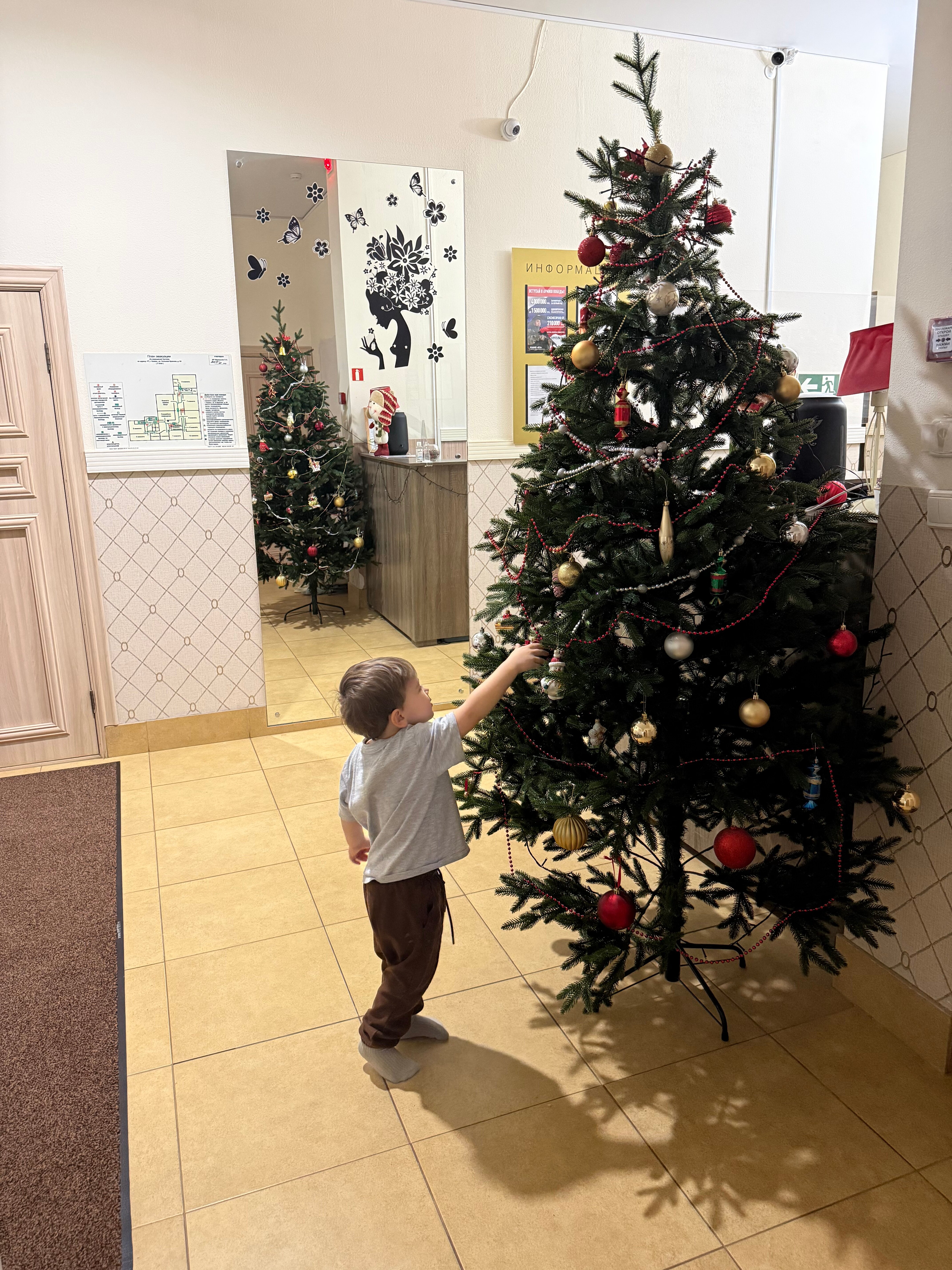 Фото Дом 64