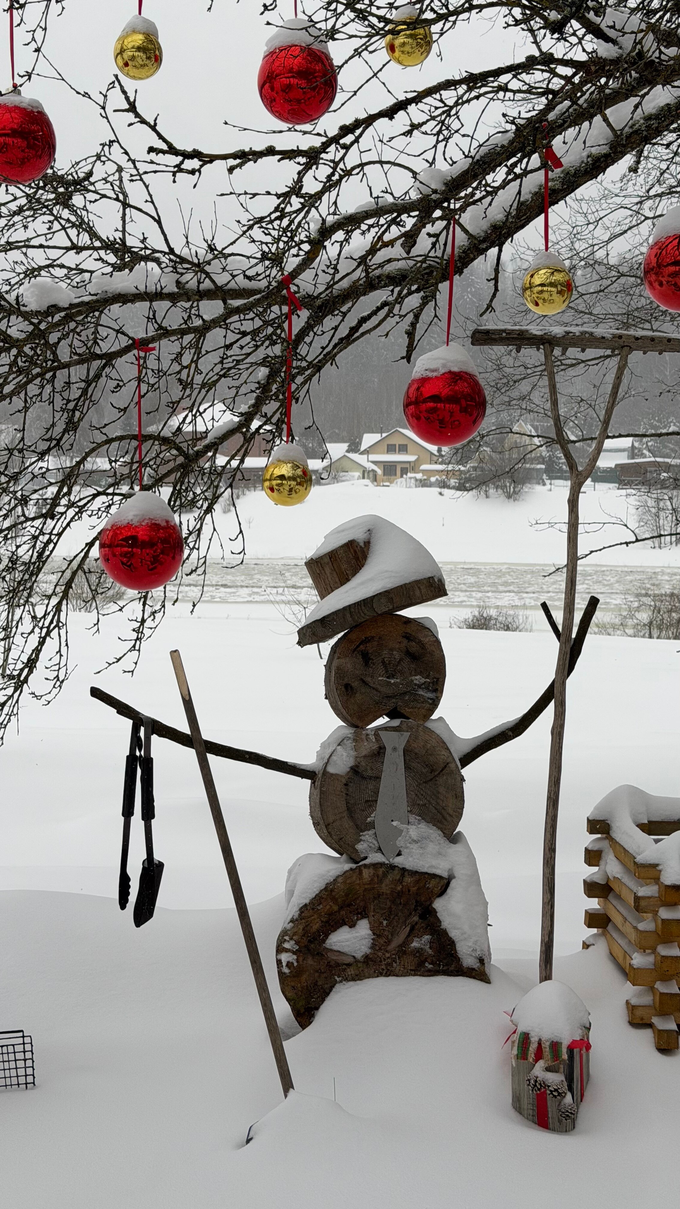 Фото Веселые гуси