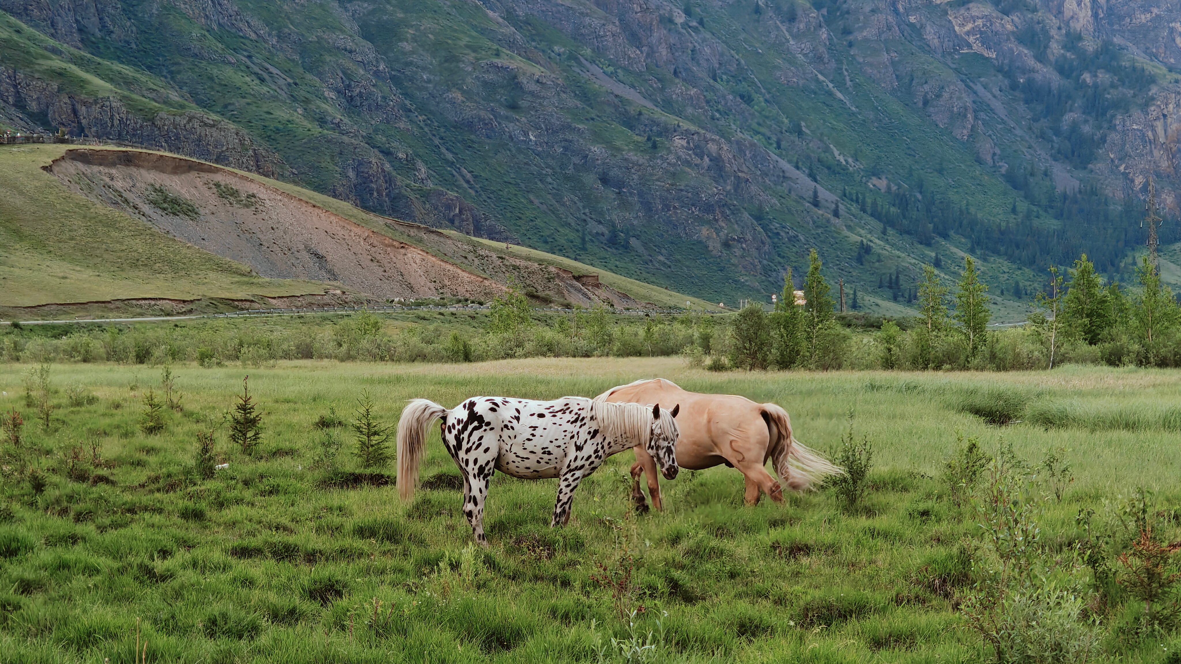 Фото Счастье в горах