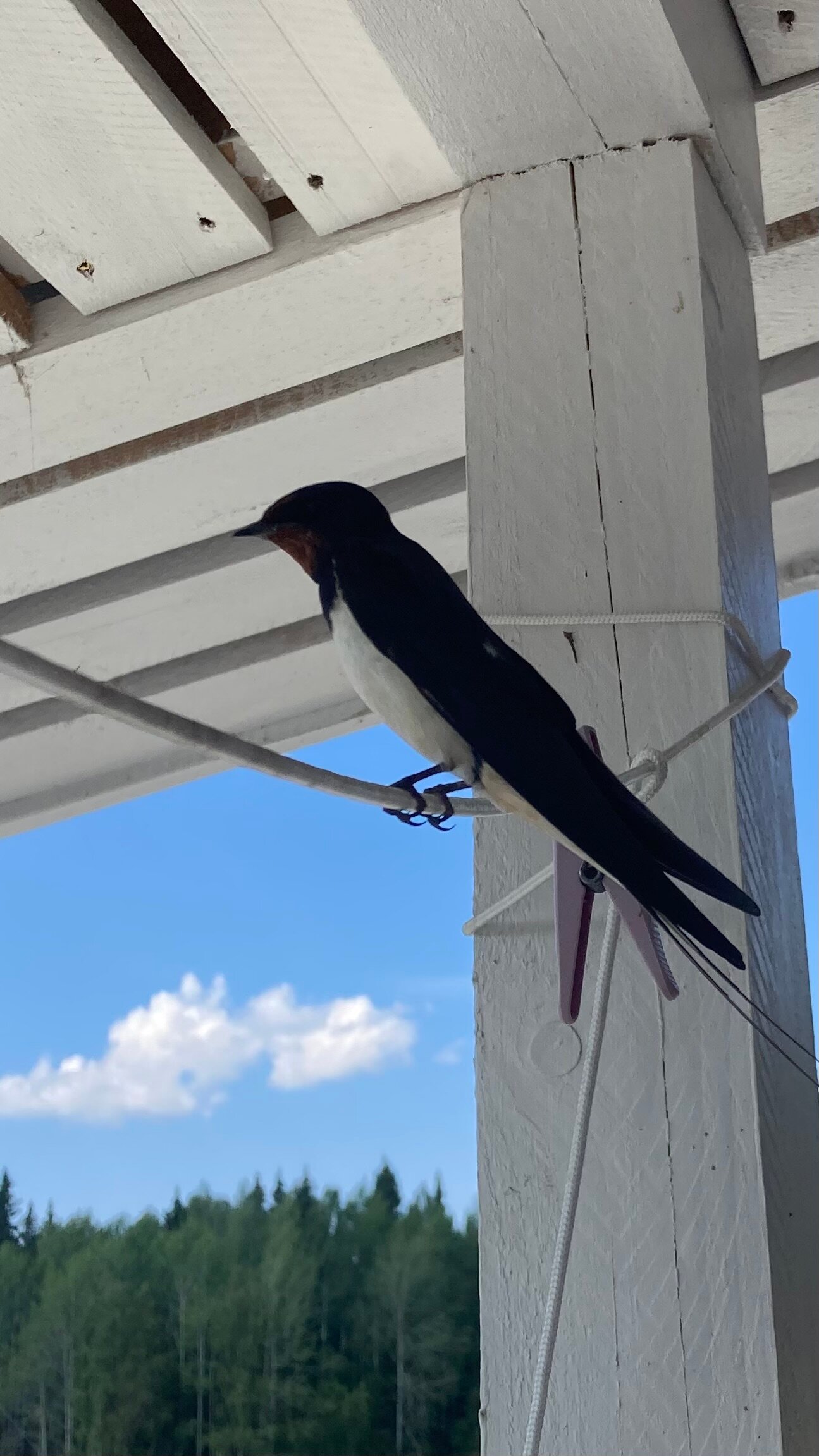 Фото Хутор Тохмайоки