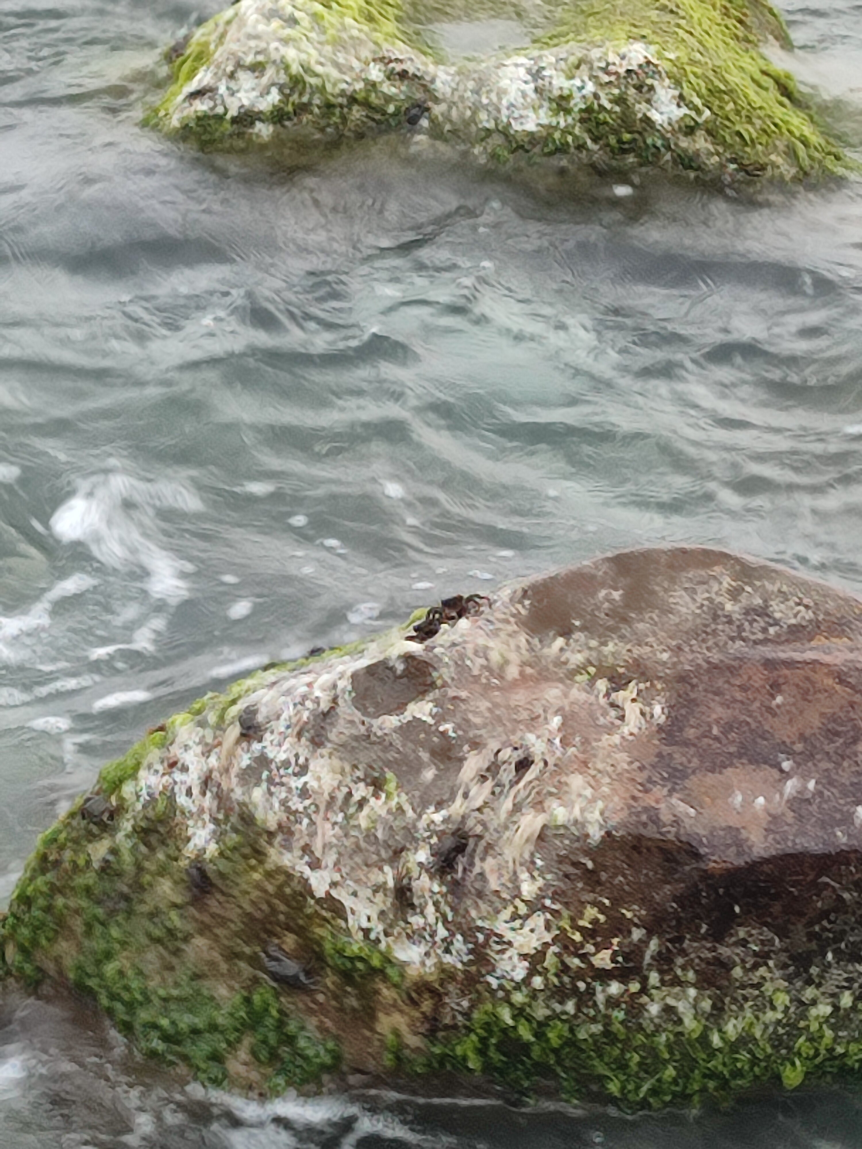 Фото Уютный дом