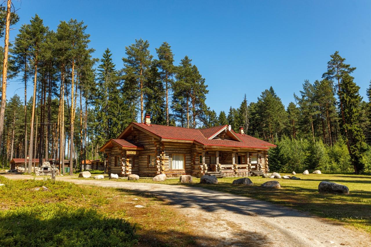Фото Медвежка в Карелии