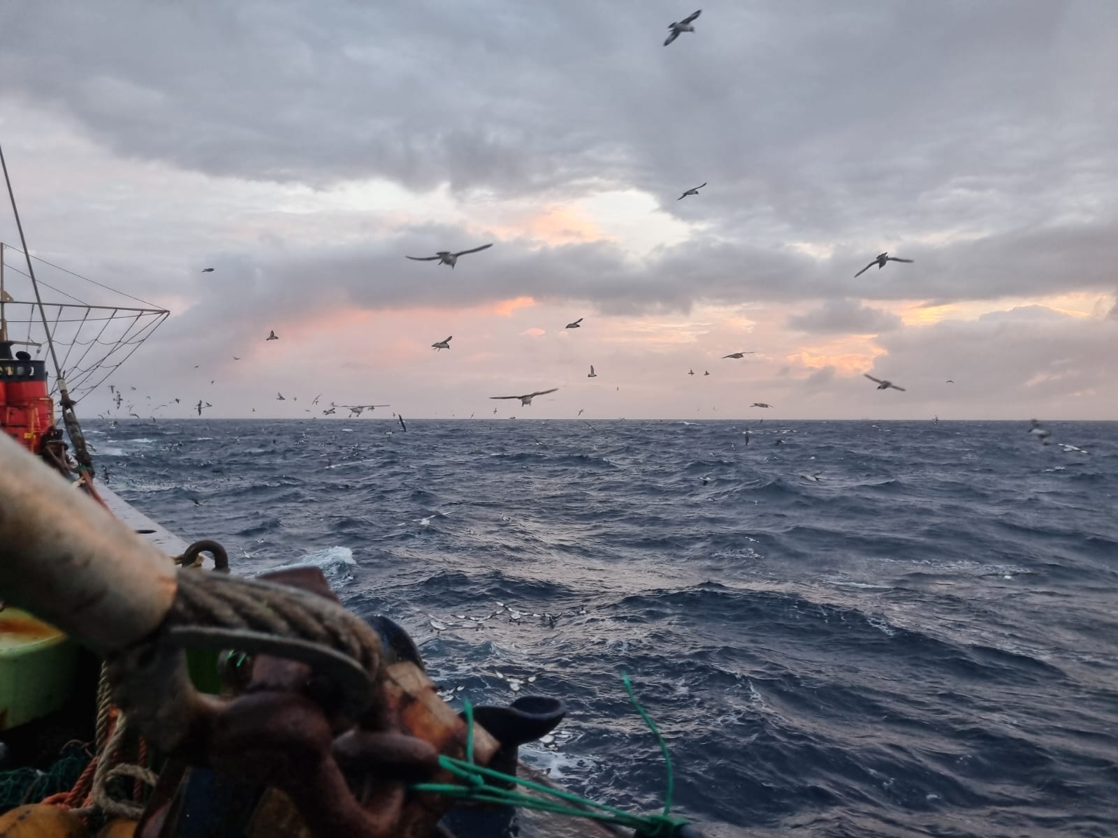 Фото Семейный