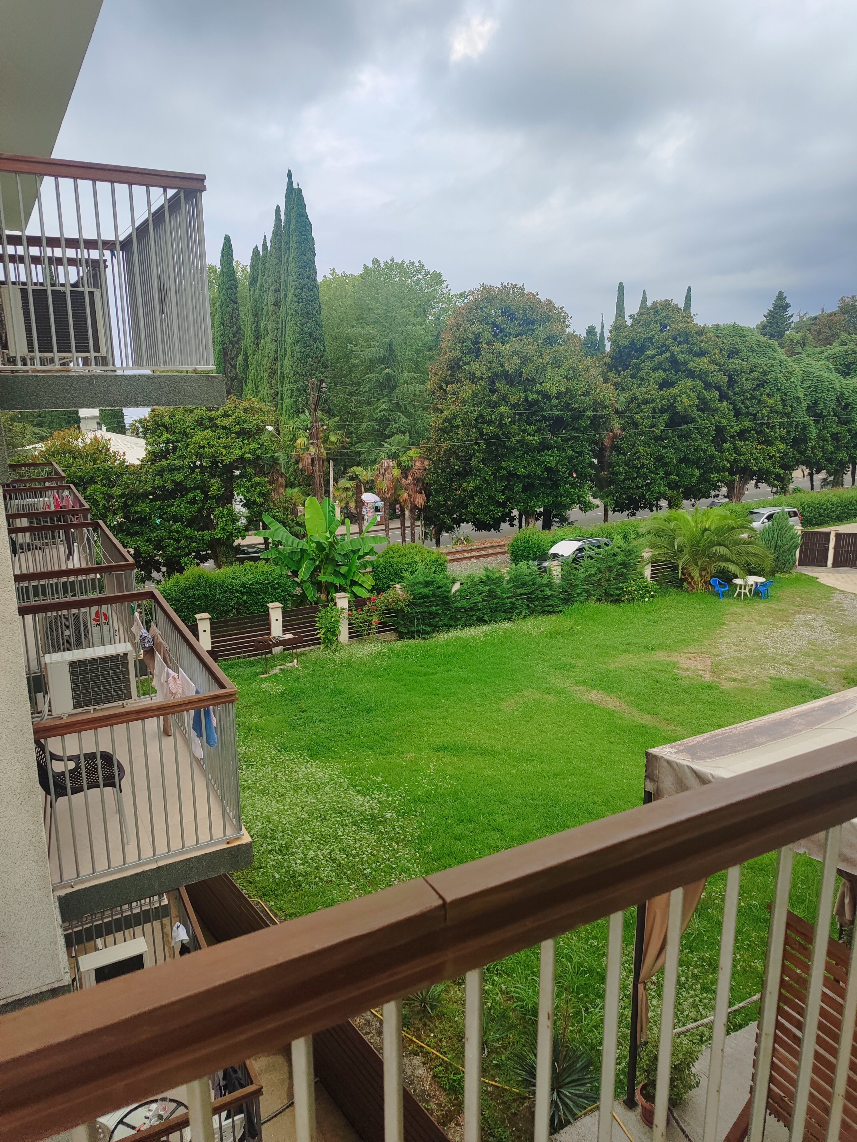 Фото Пальма