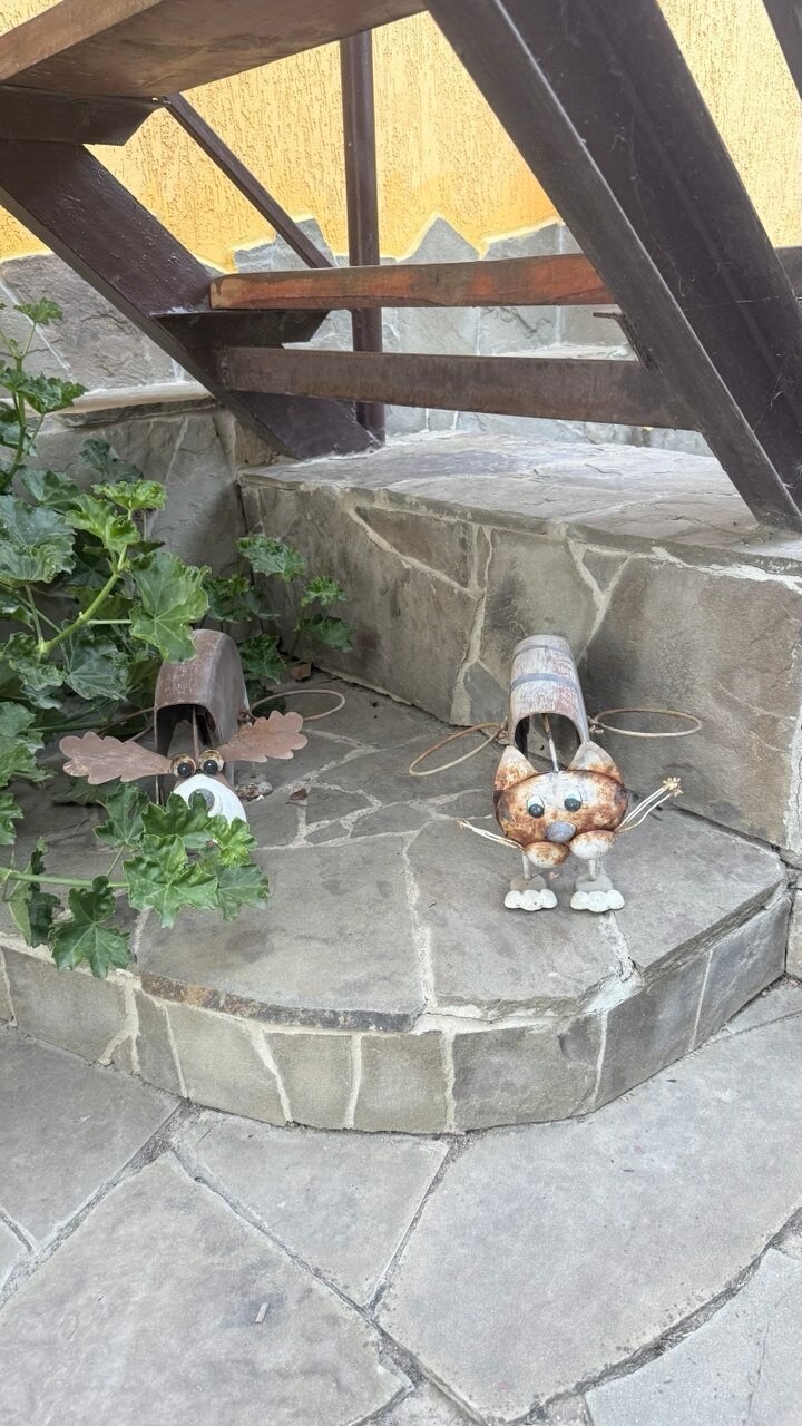 Фото В гостях у моря