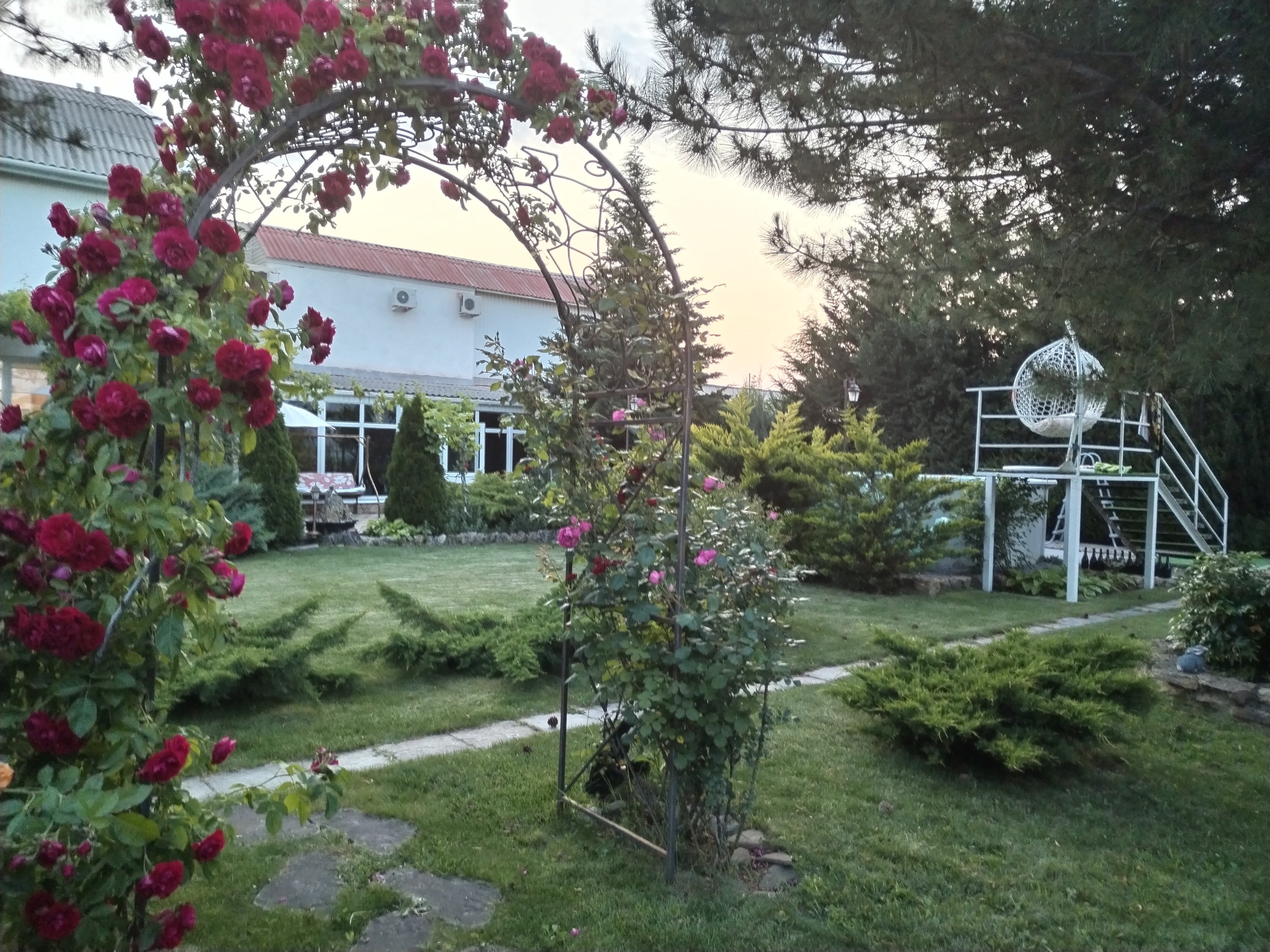 Фото Ивушка