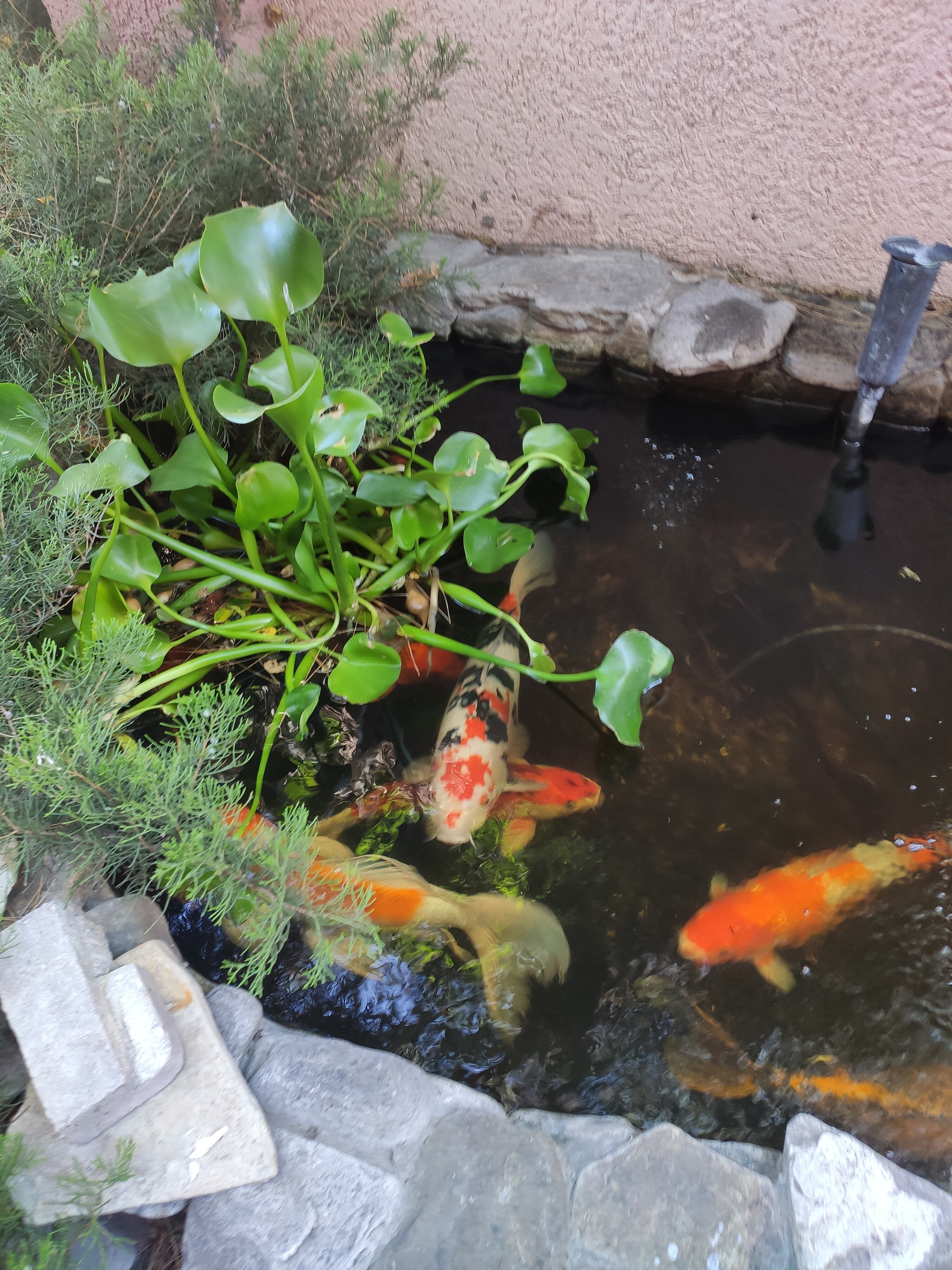 Фото Morskoy priboy