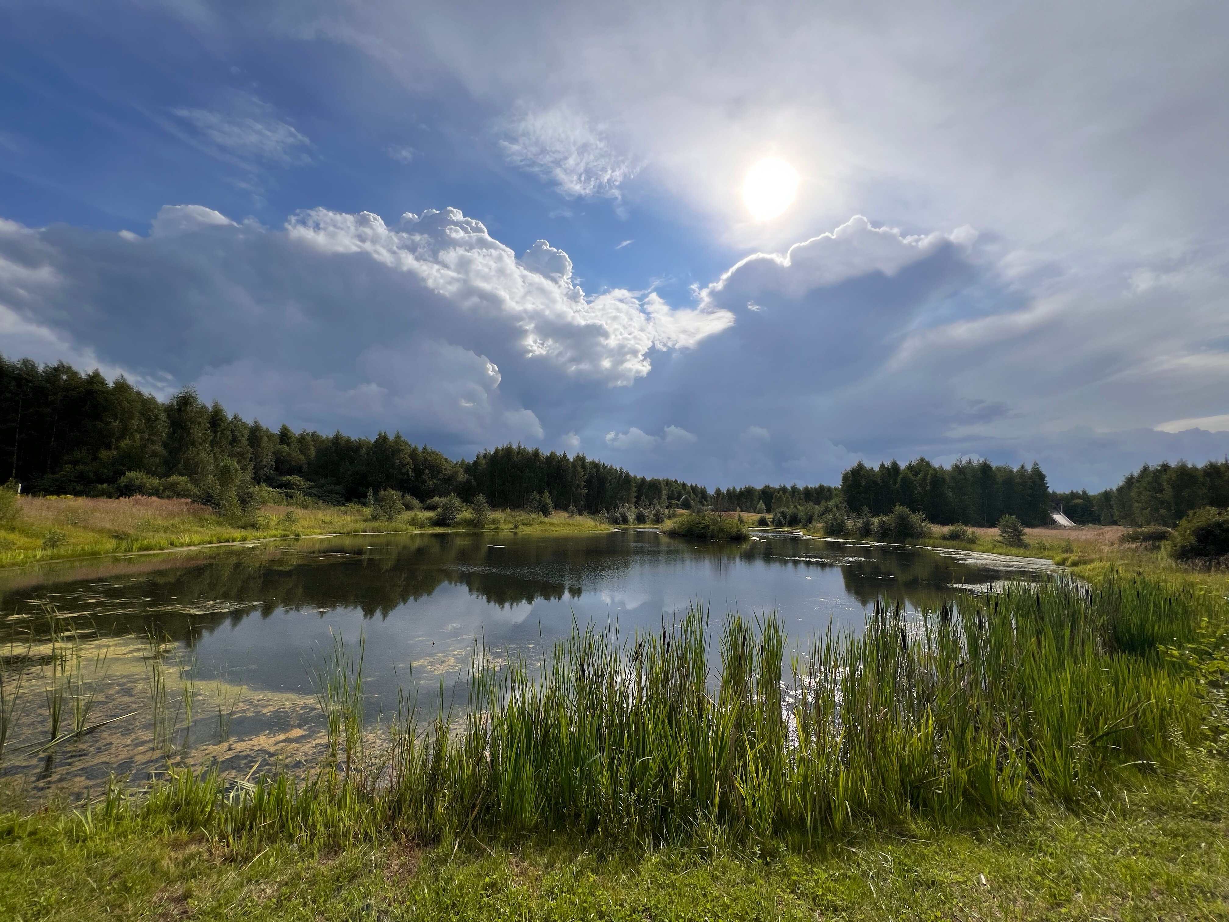 Фото Zavidovo SPA Village