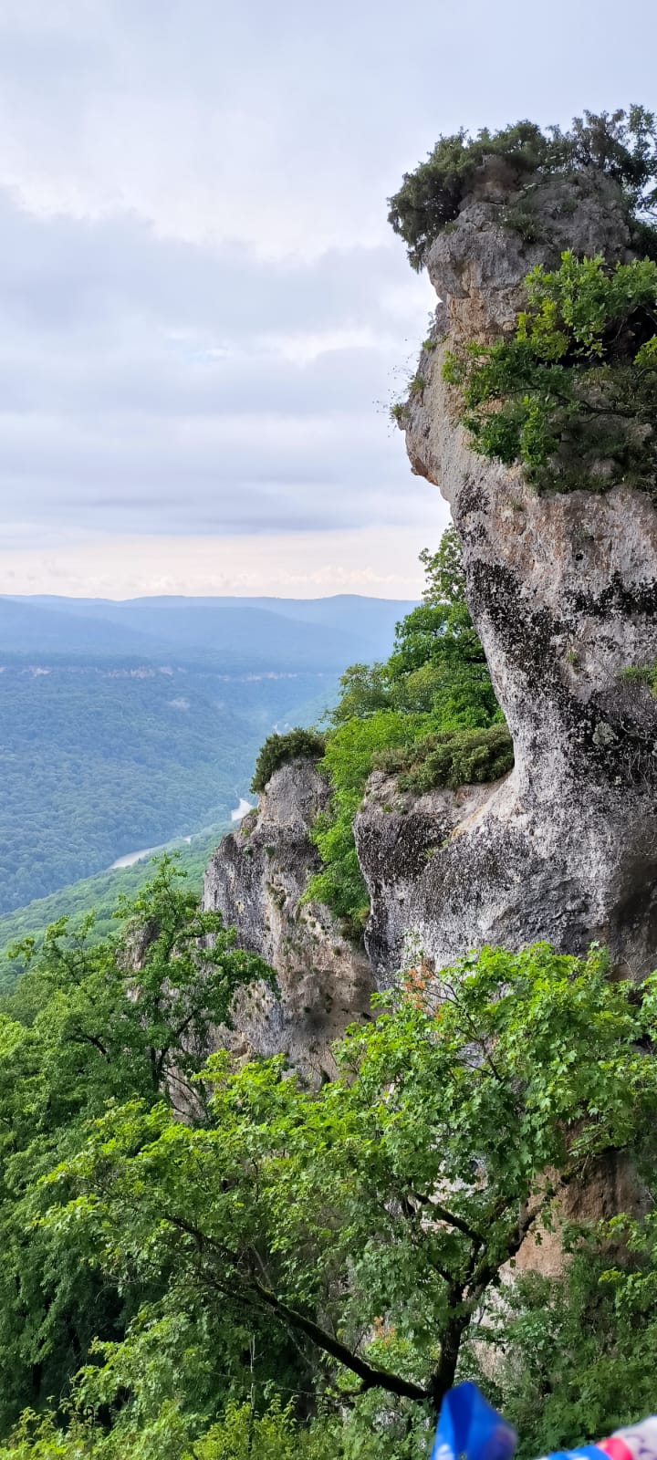 Фото Палитра