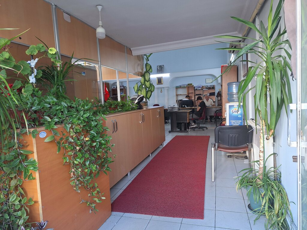 Car service, auto repair Ekin Automotive Traffic Consultant, Istanbul, photo