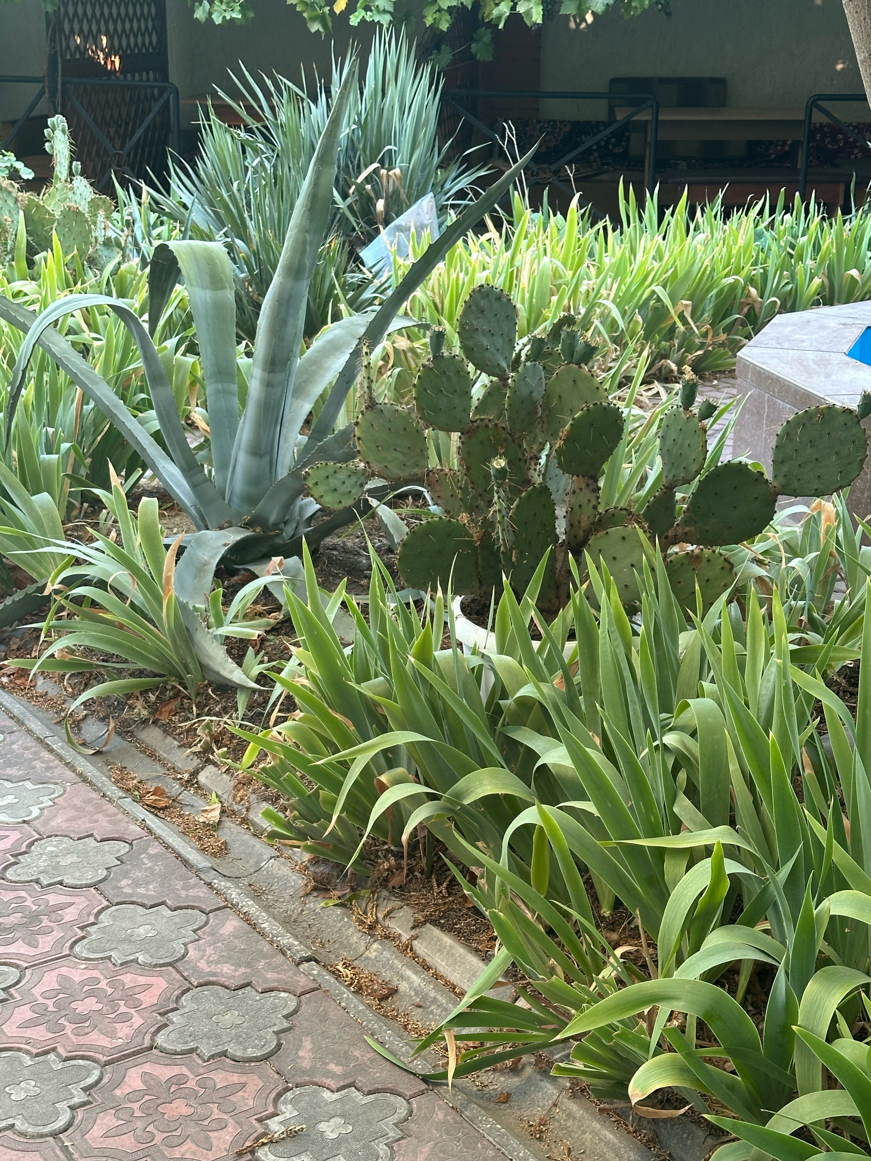 Фото Московский