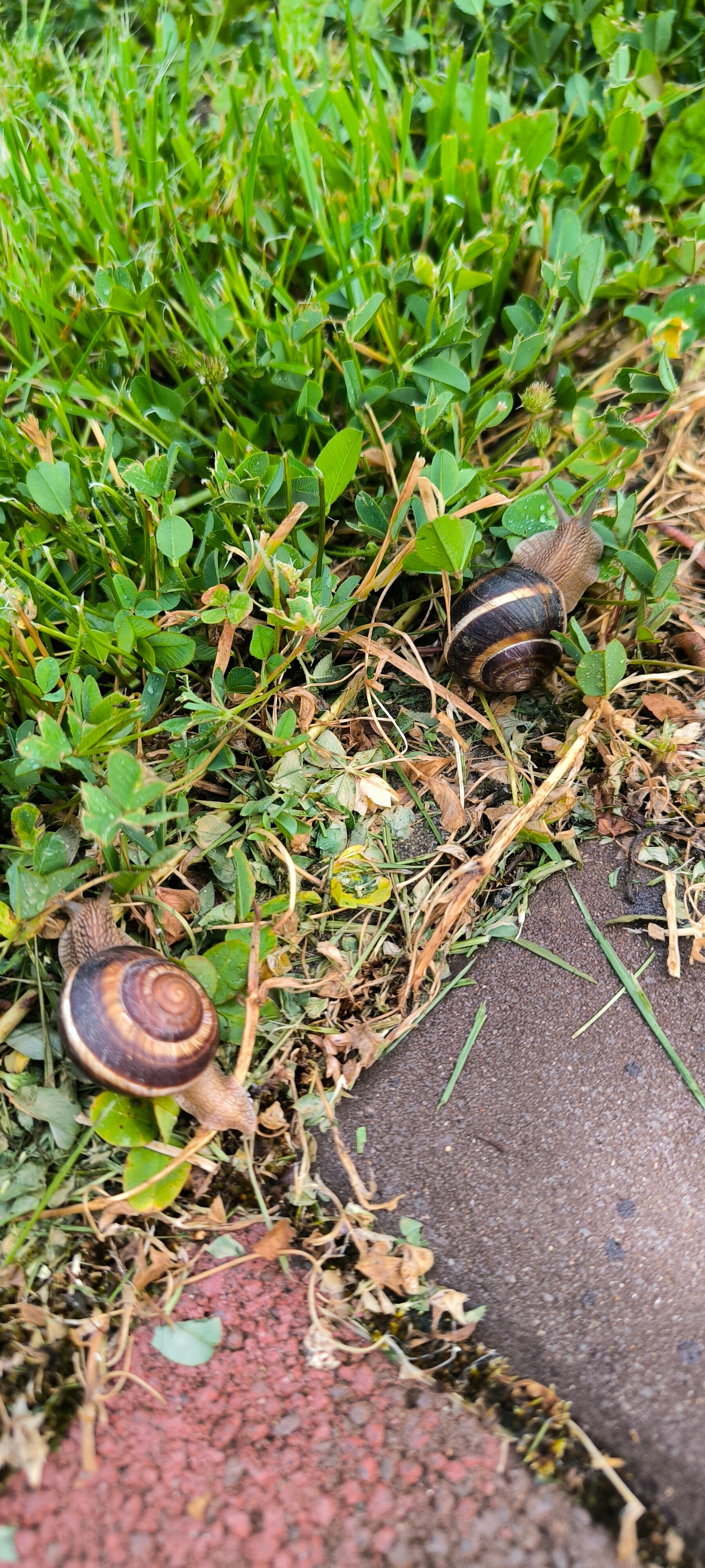 Фото Морозовъ