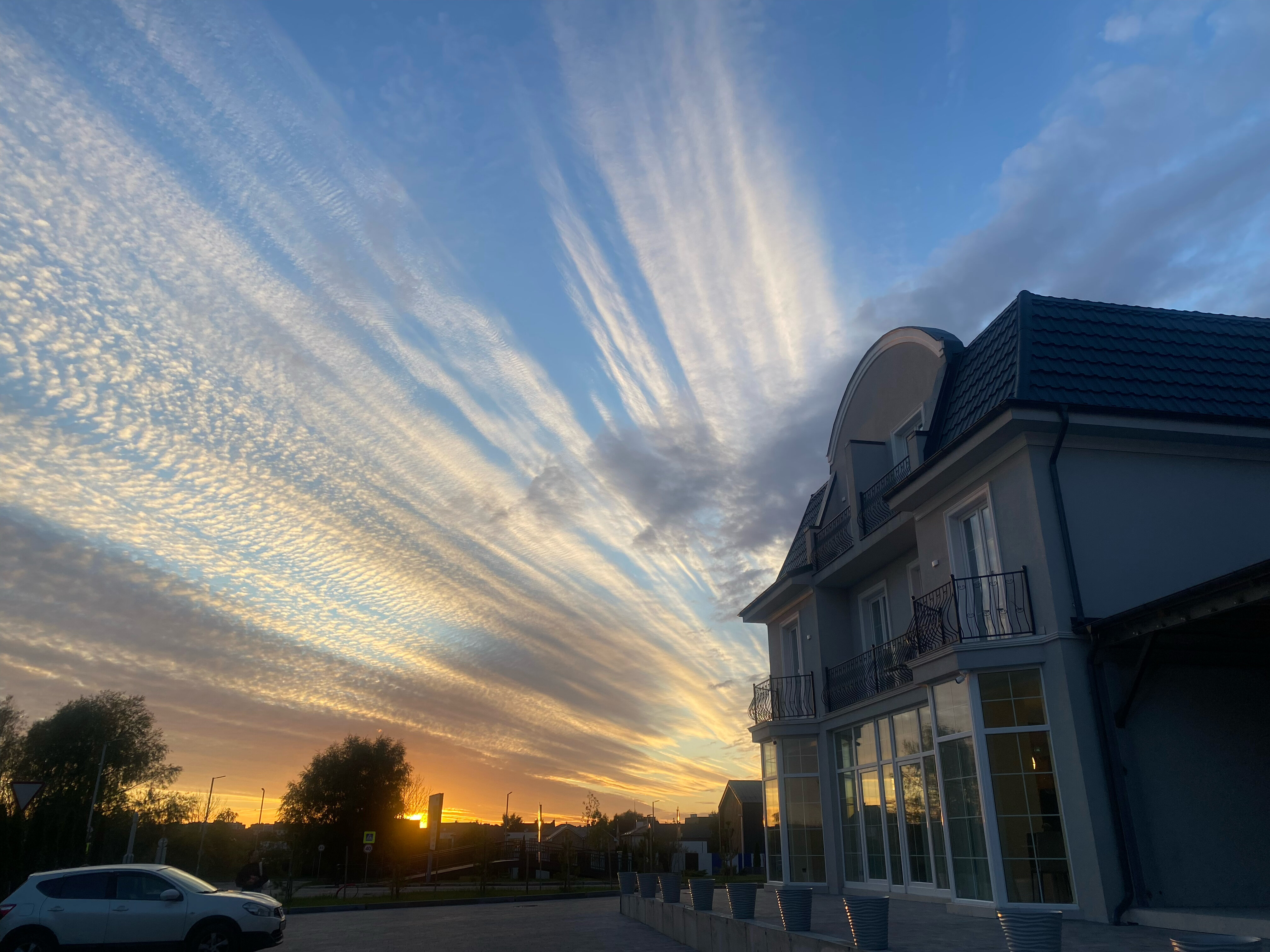 Фото Янтарная Вишня