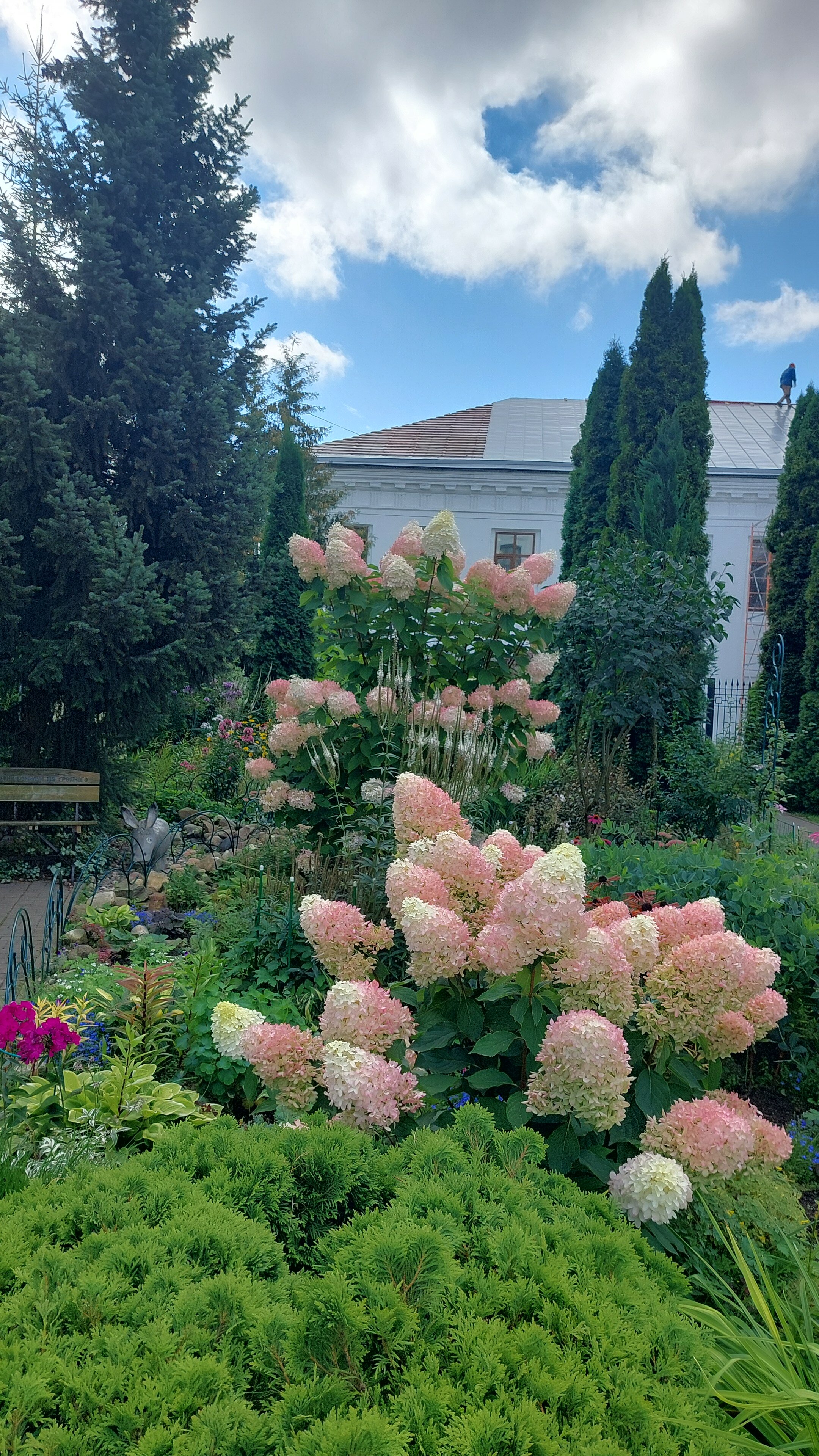 Фото Которосль