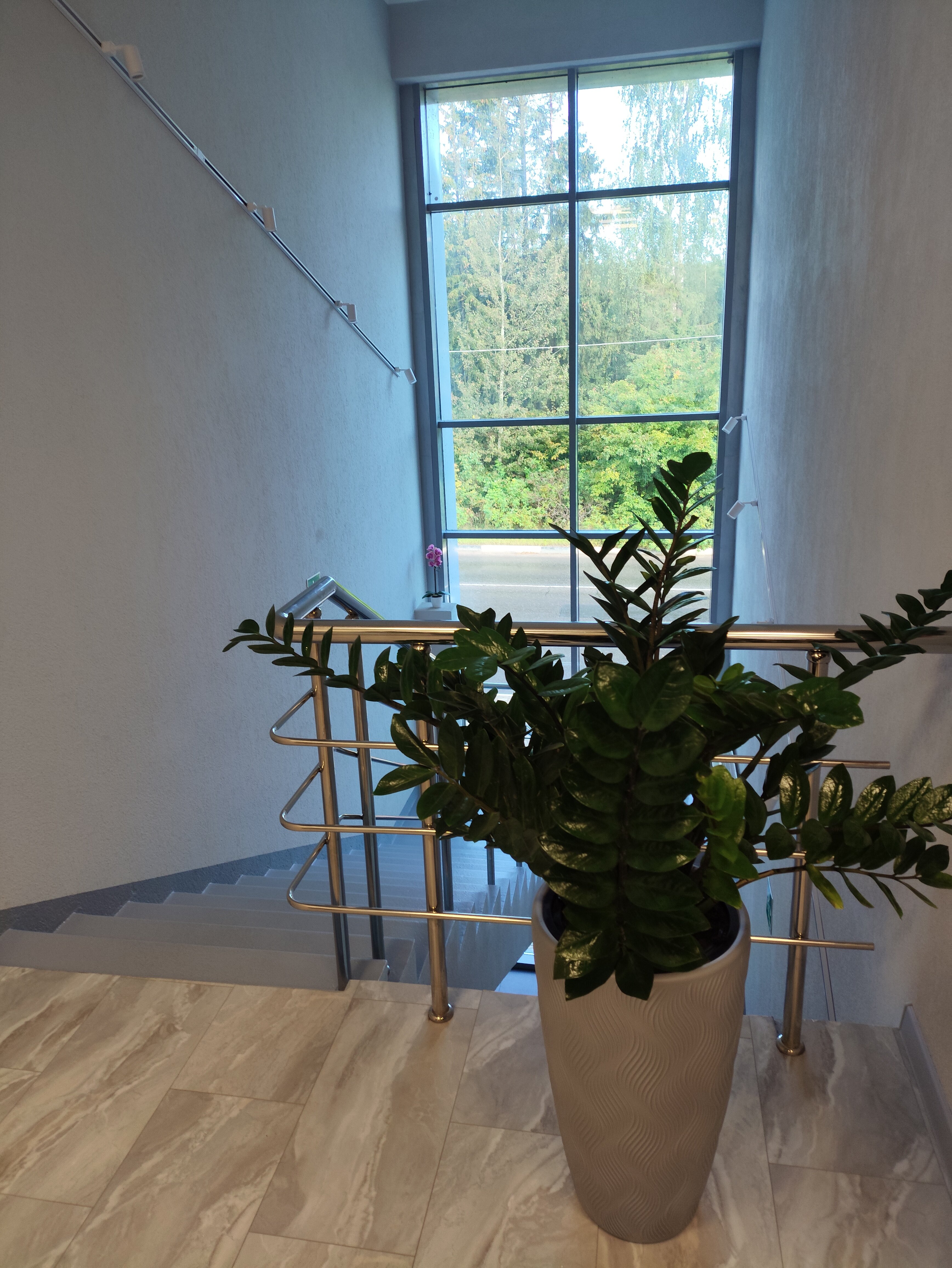 Фото Отель ДУБос