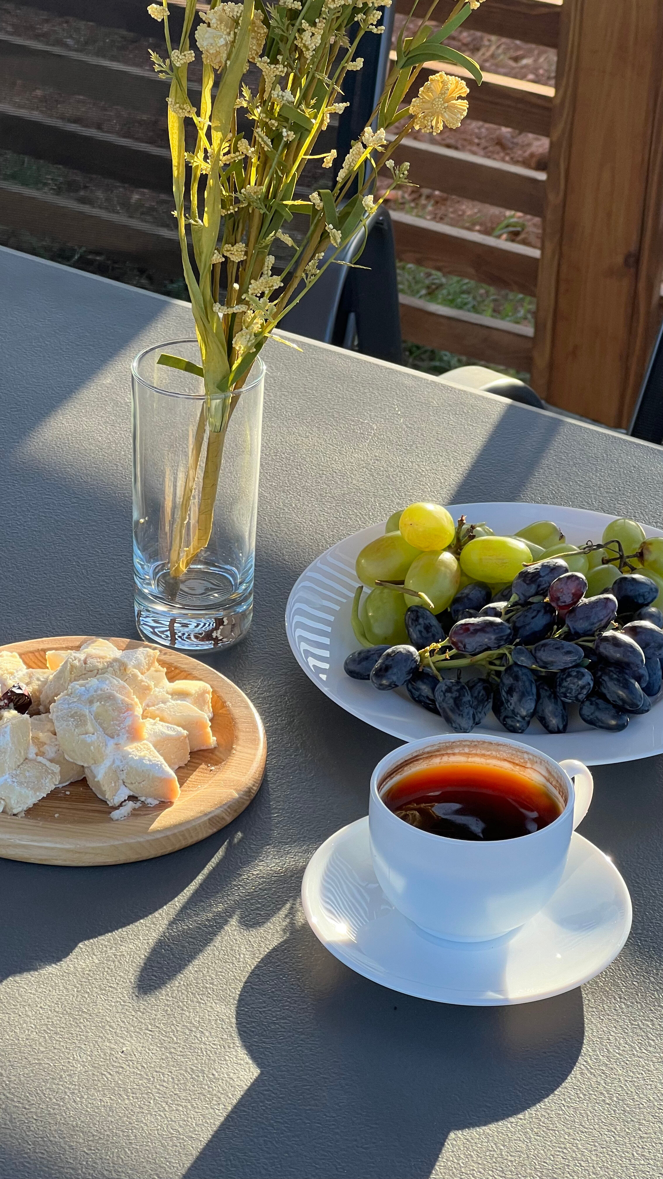 Фото Шелест