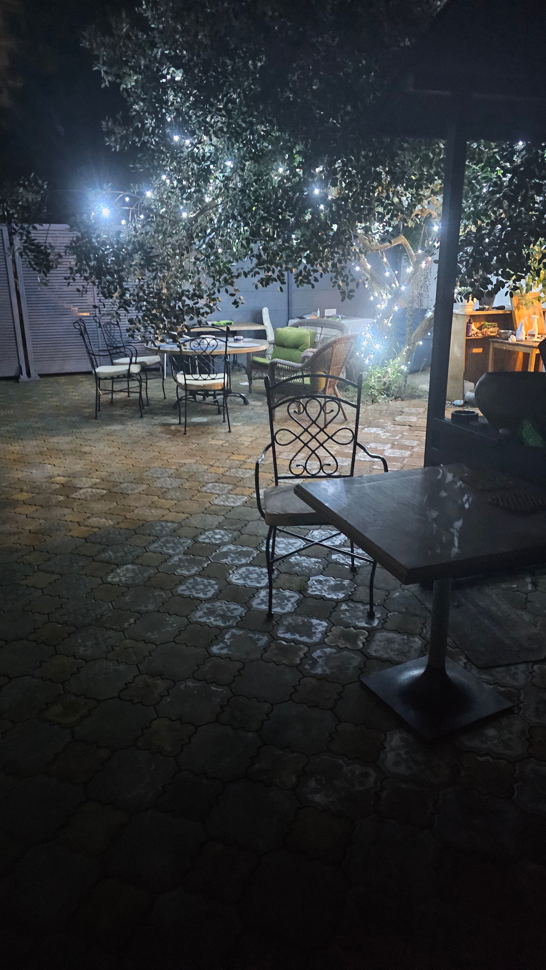 Фото Золотой Поросенок