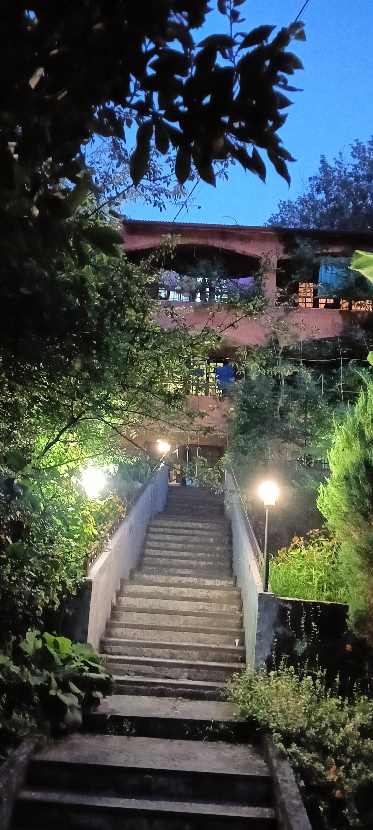 Фото Лесная прохлада