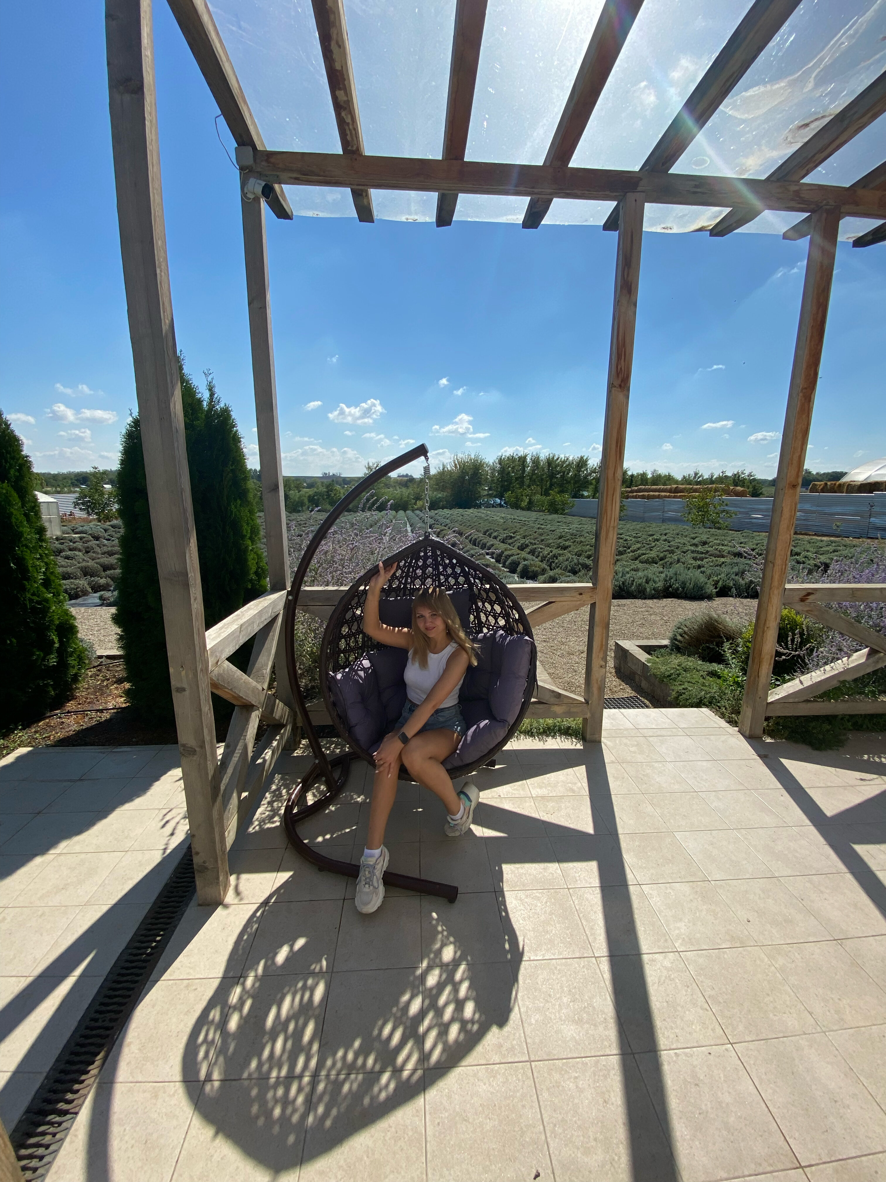 Фото Лавандовые холмы