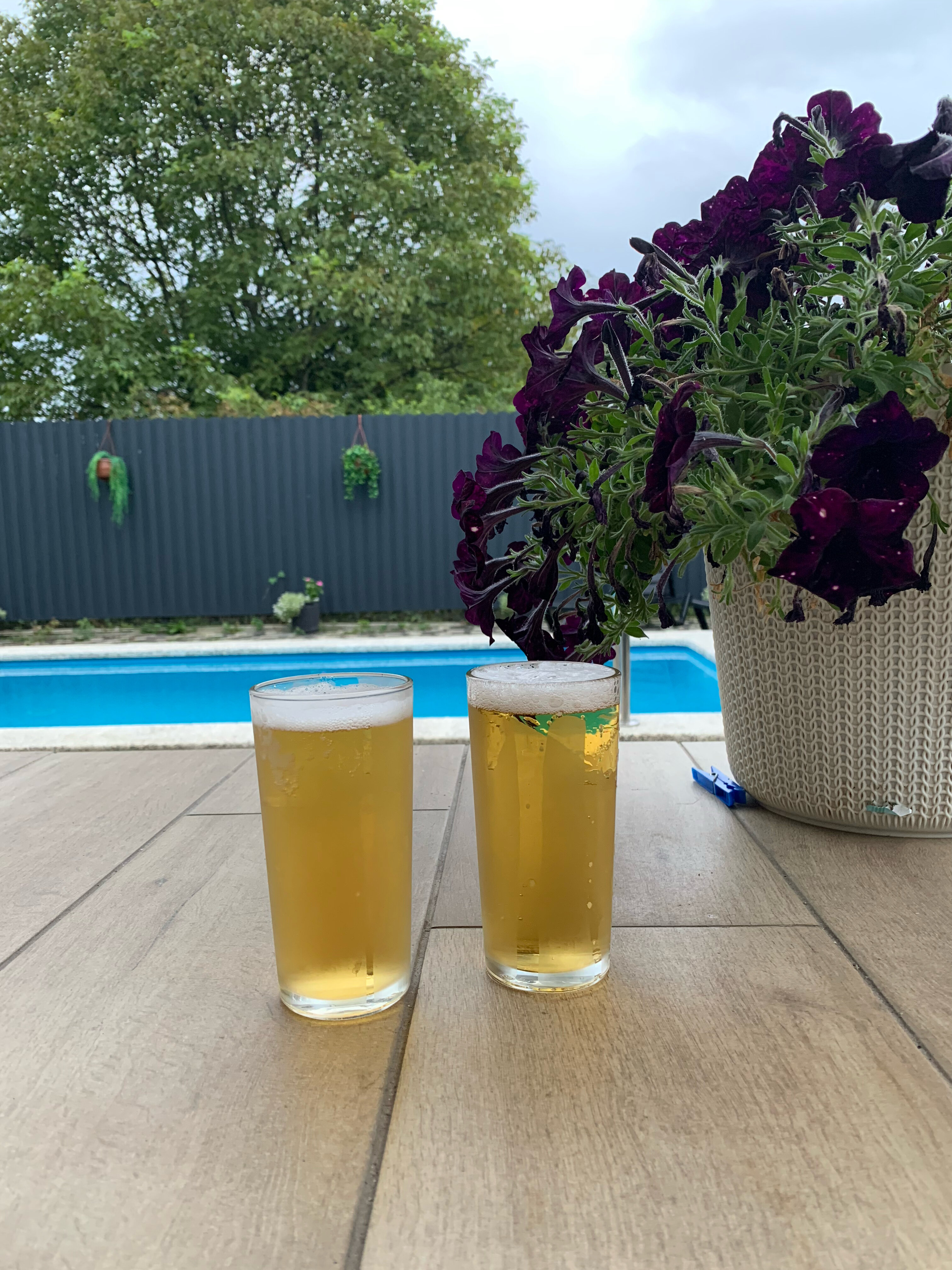 Фото Твой Дом