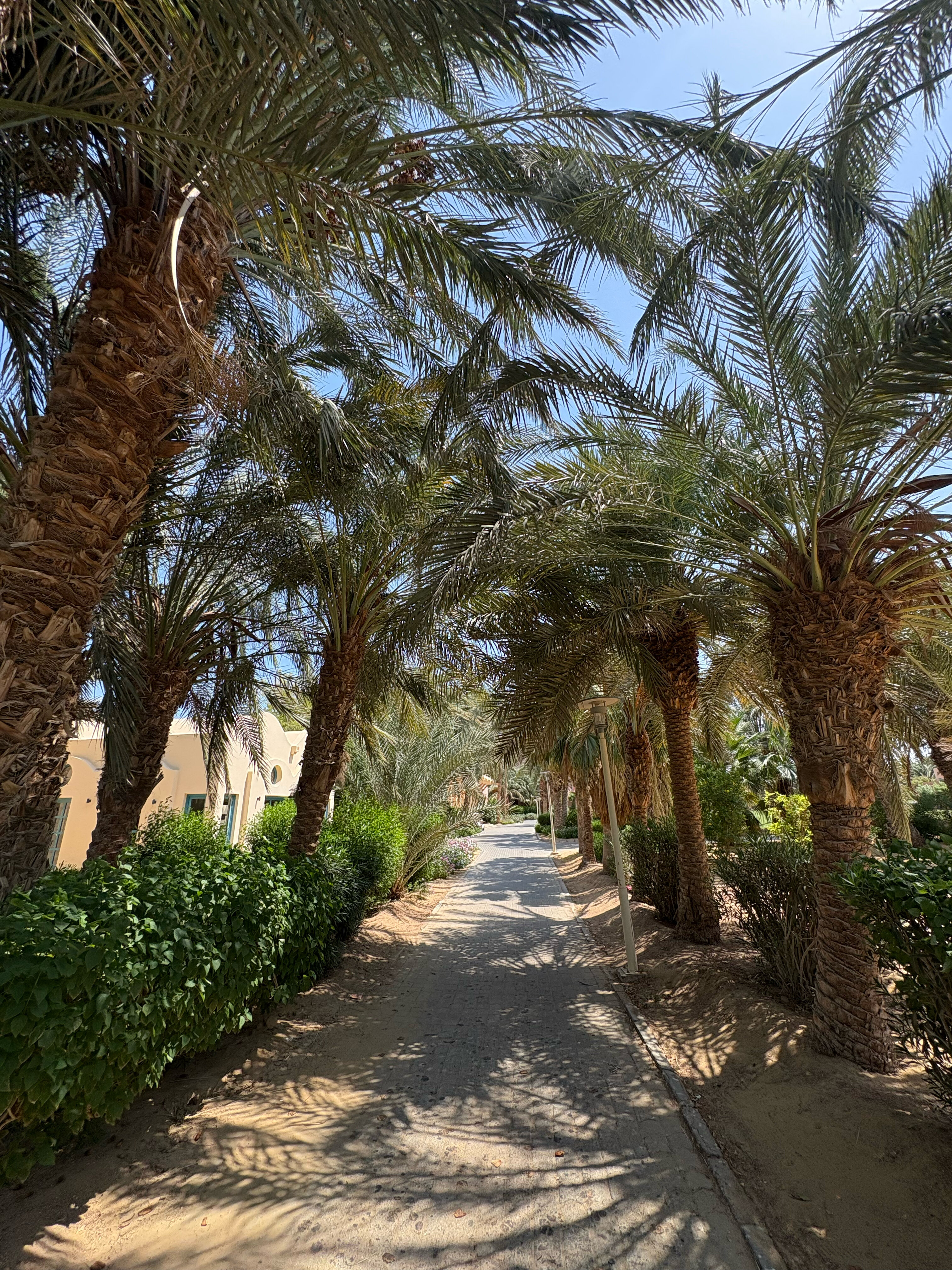 Фото Steigenberger Golf Resort El Gouna