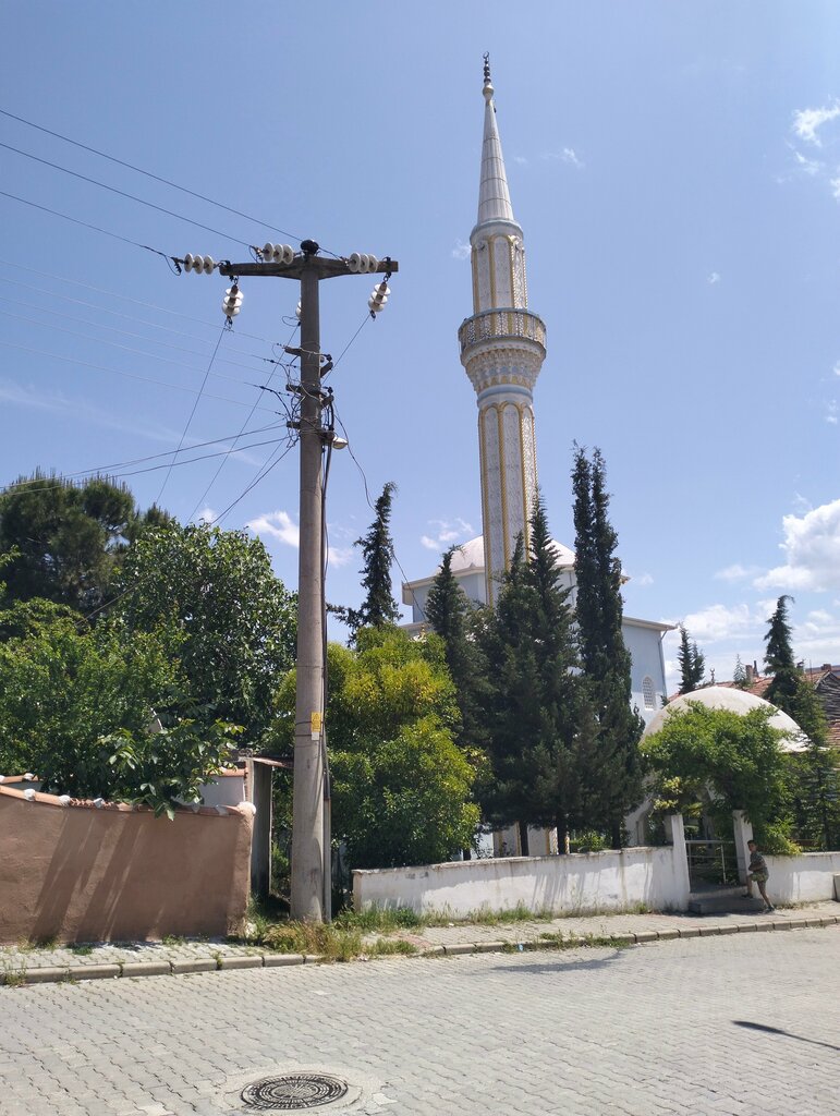 Mosque Tepe Neighborhood 24 August Roses Mosque, Tasova, photo