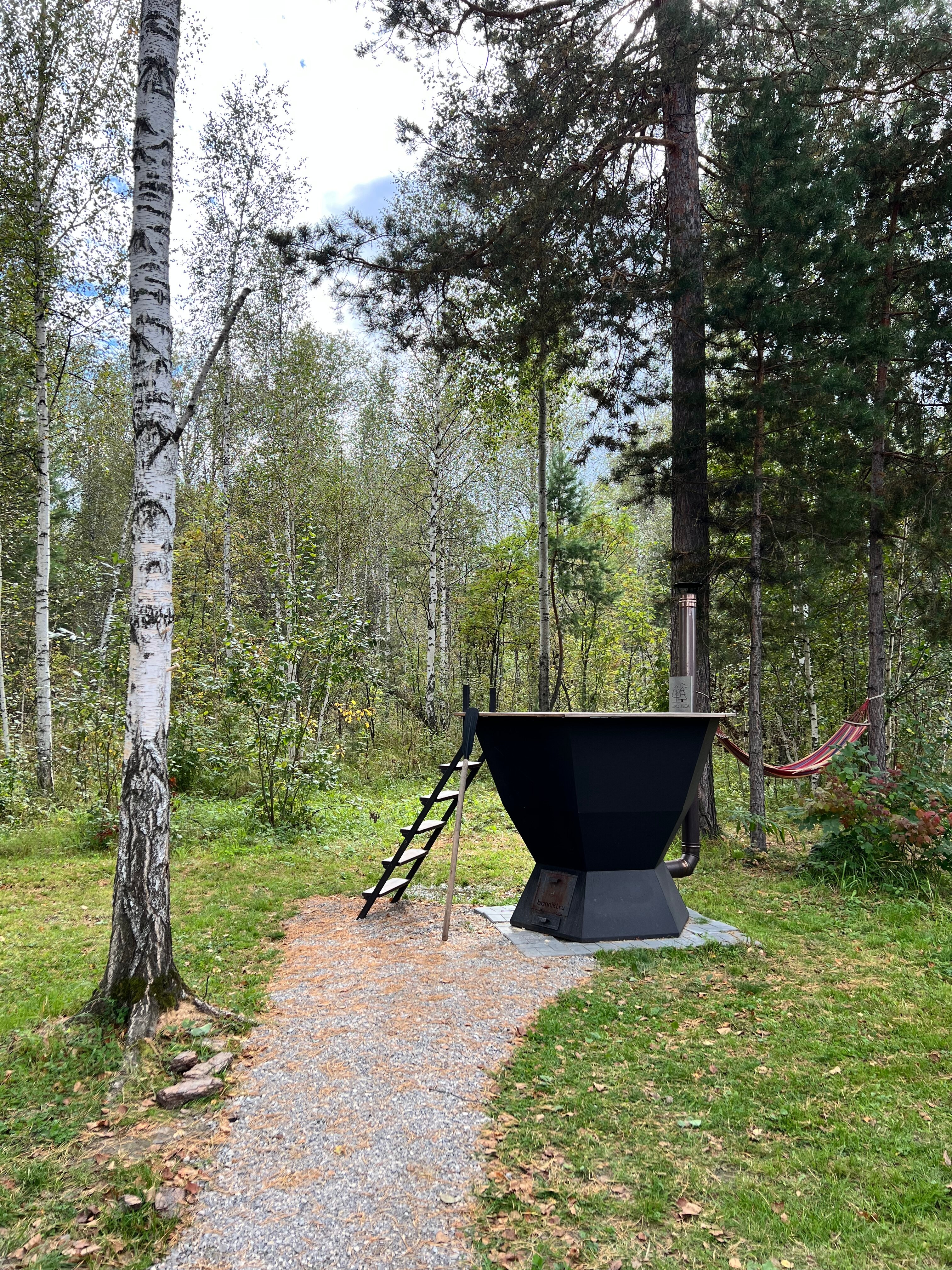 Фото Эхо леса