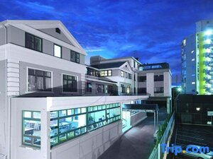 Гостиница Kiwi International Hotel