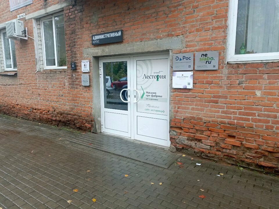 Web design studio Web Izi, Vladimir, photo