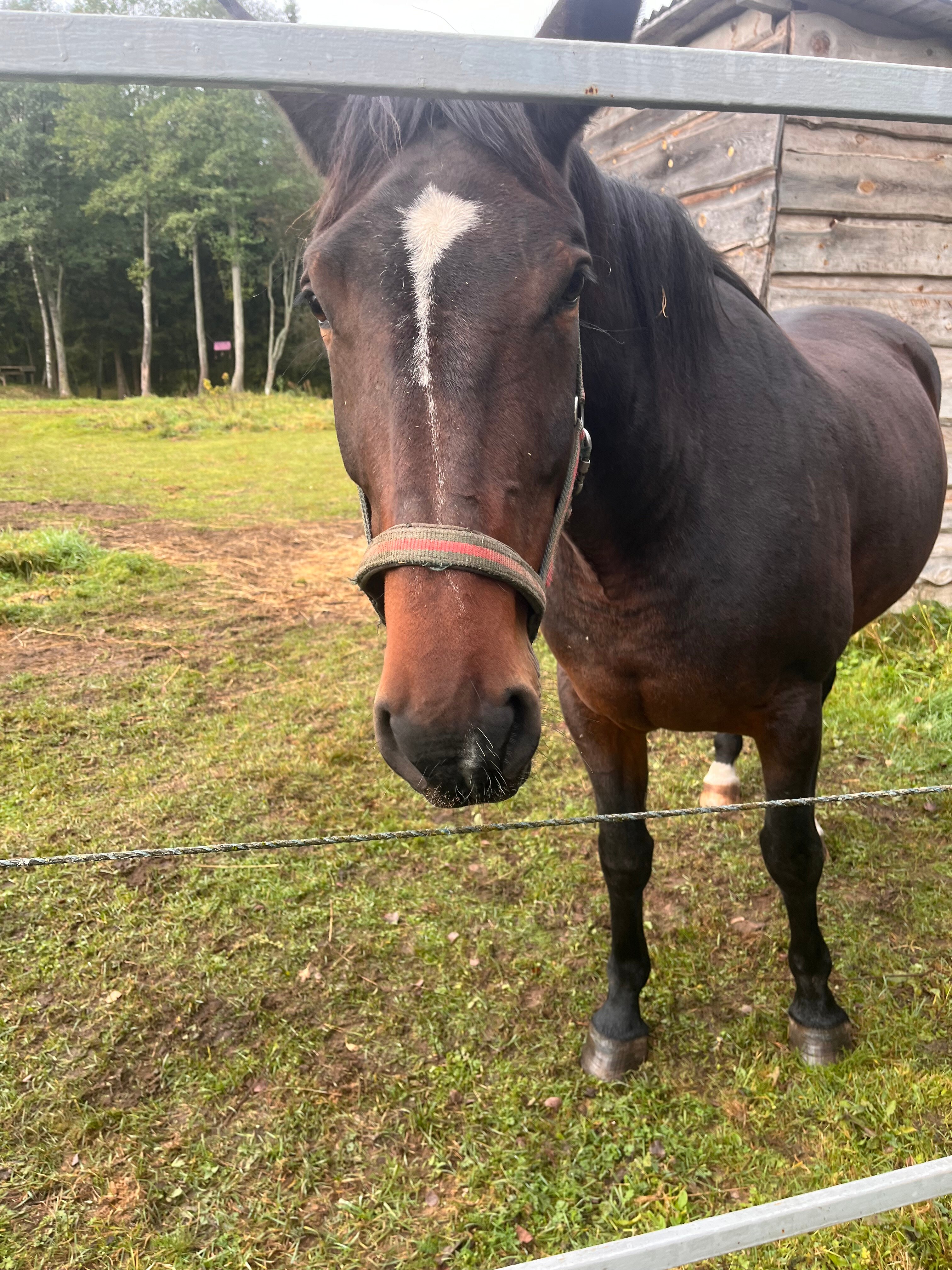 Фото Хутор Малиновка