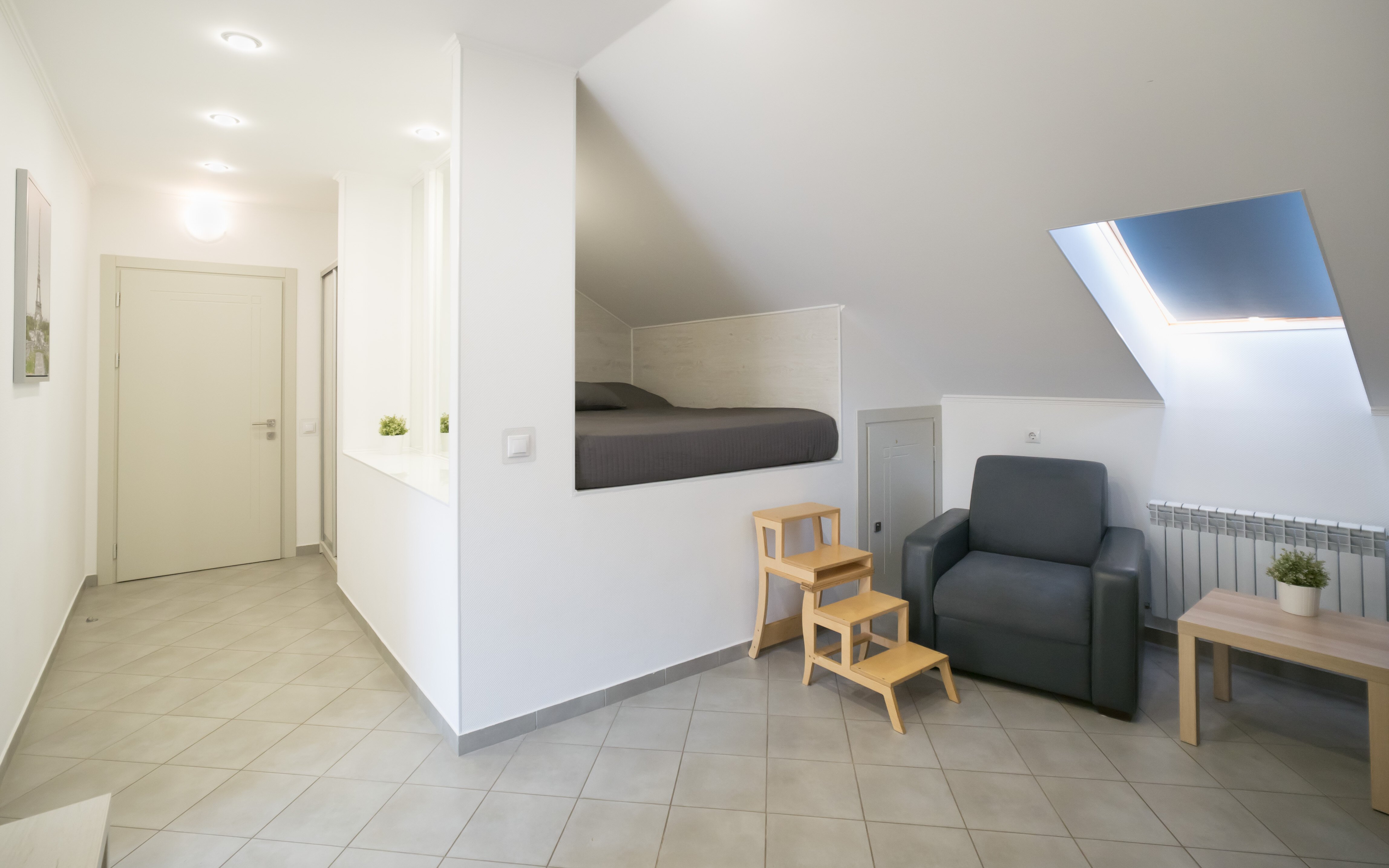 Фото Абрикос Плюс