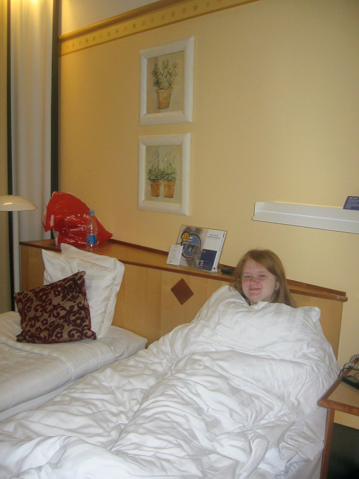 Фото Scandic № 53