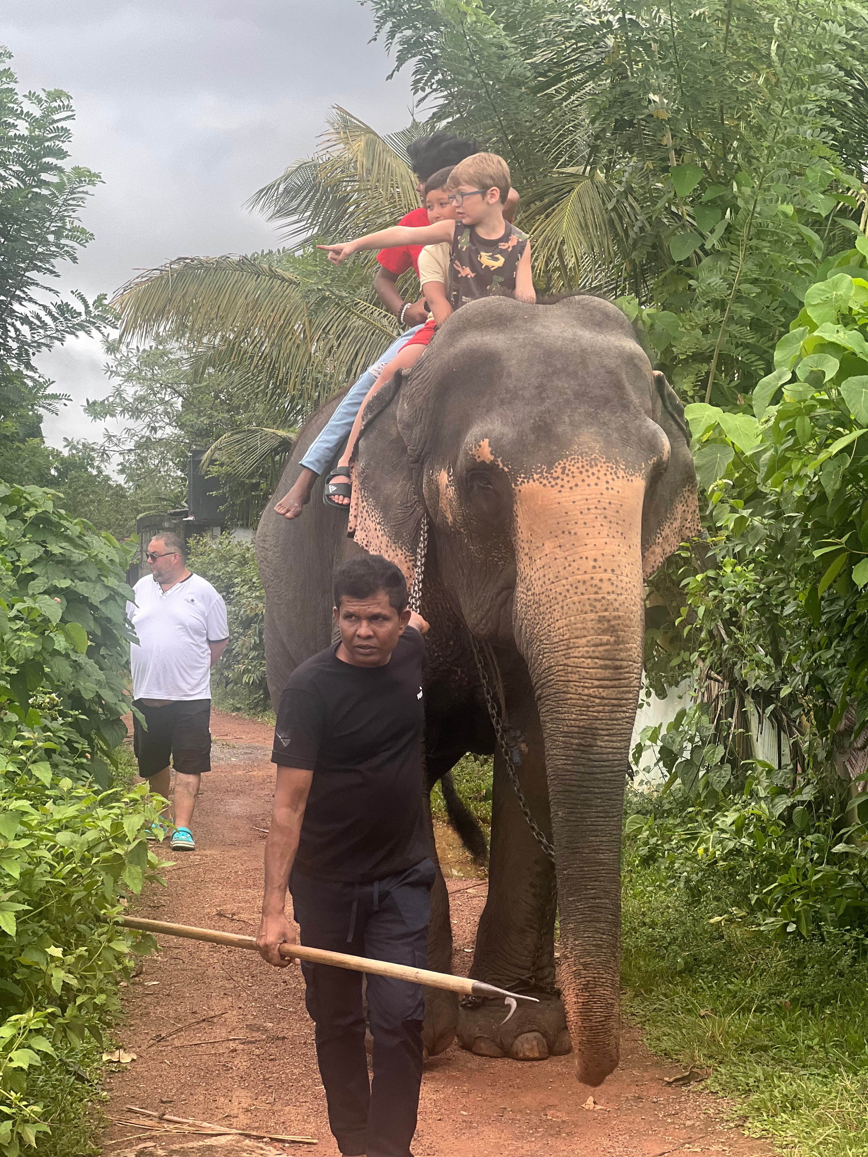 Фото Turyaa Kalutara