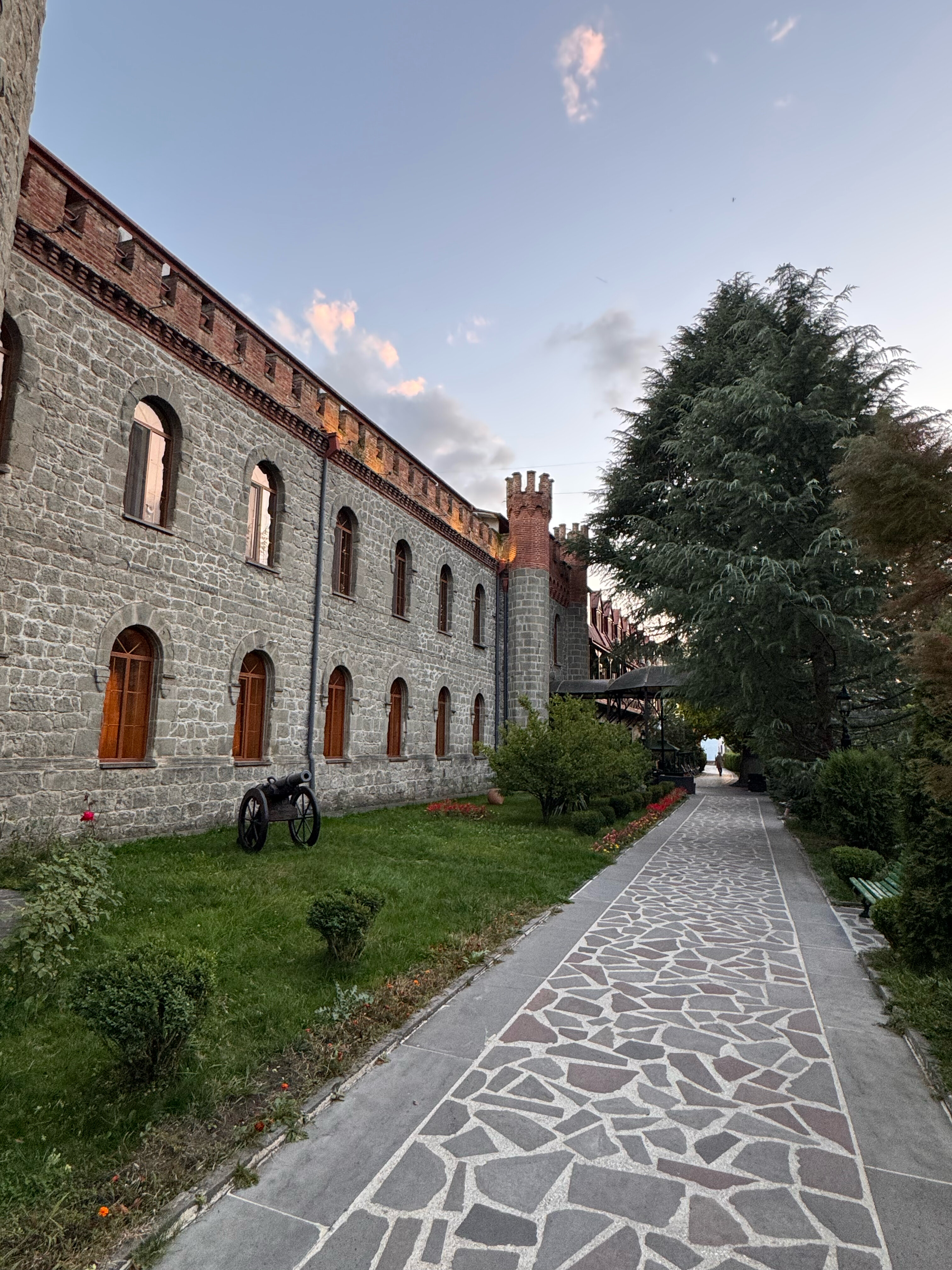 Фото Borjomi Palace