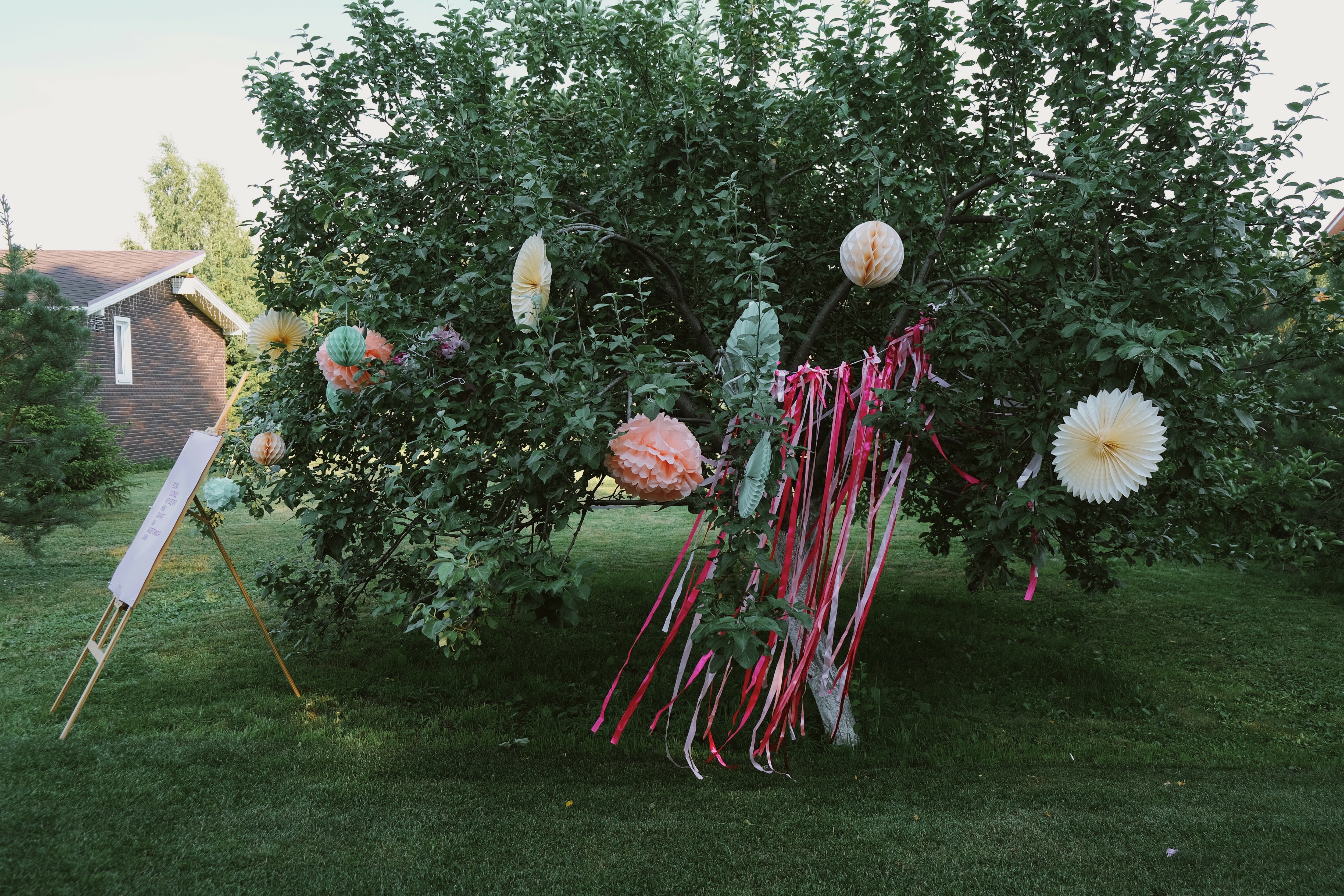 Фото Гусихаус