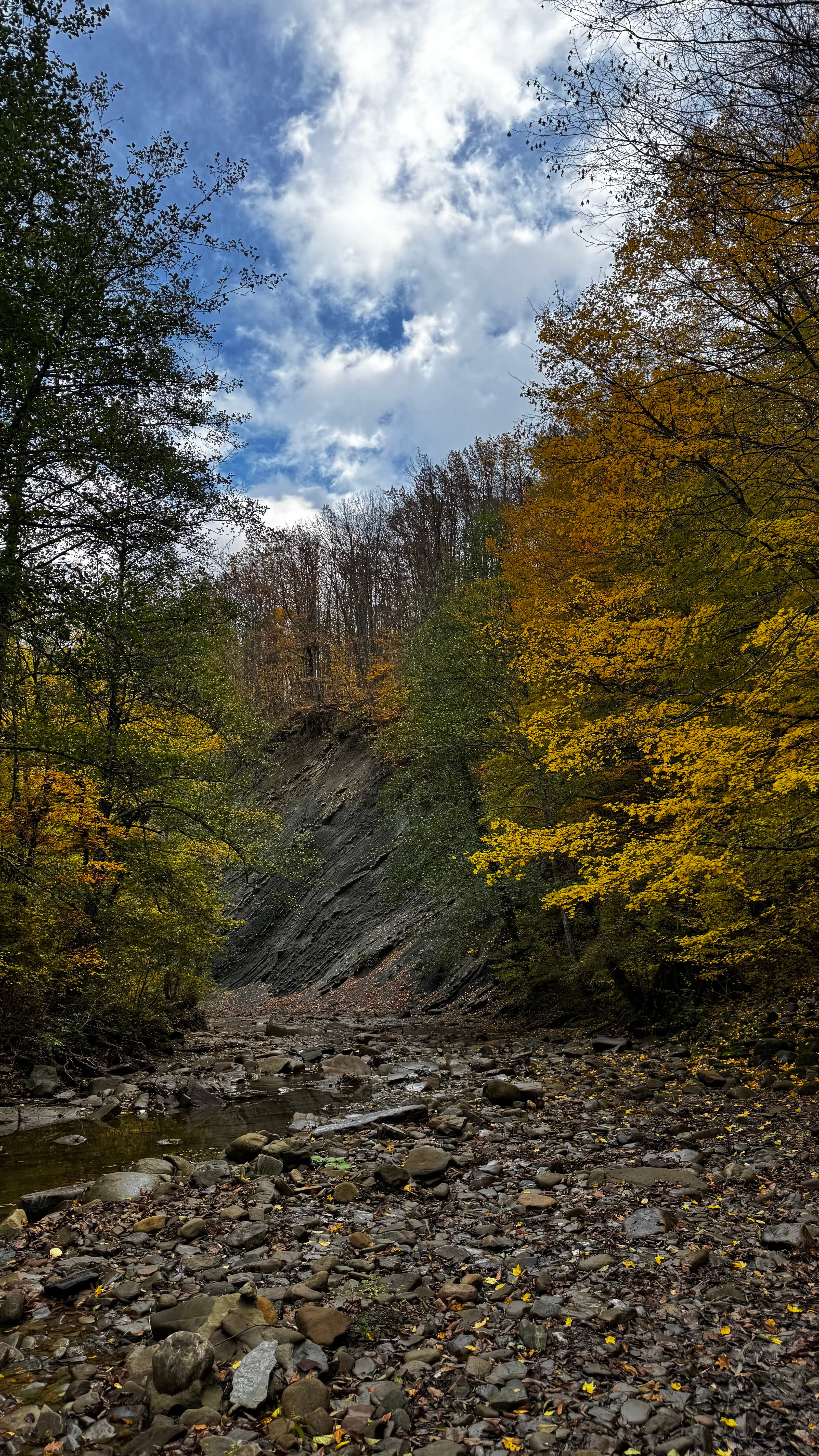 Фото Ален Хаус