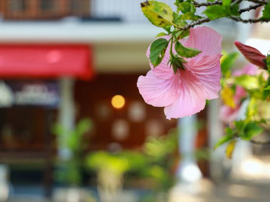 Фото Wisdom Boutique Resort