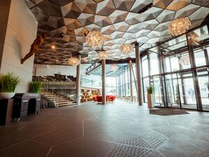 Гостиница Clarion Hotel The Edge