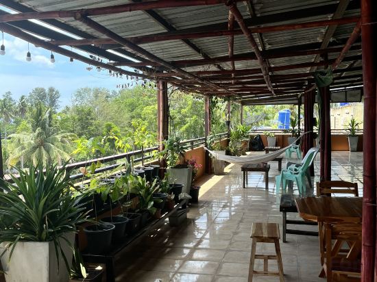 Фото 225811273666