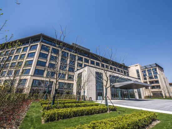 Фото 137858523736