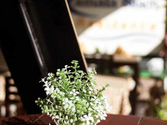 Фото Kamala Beach Residence